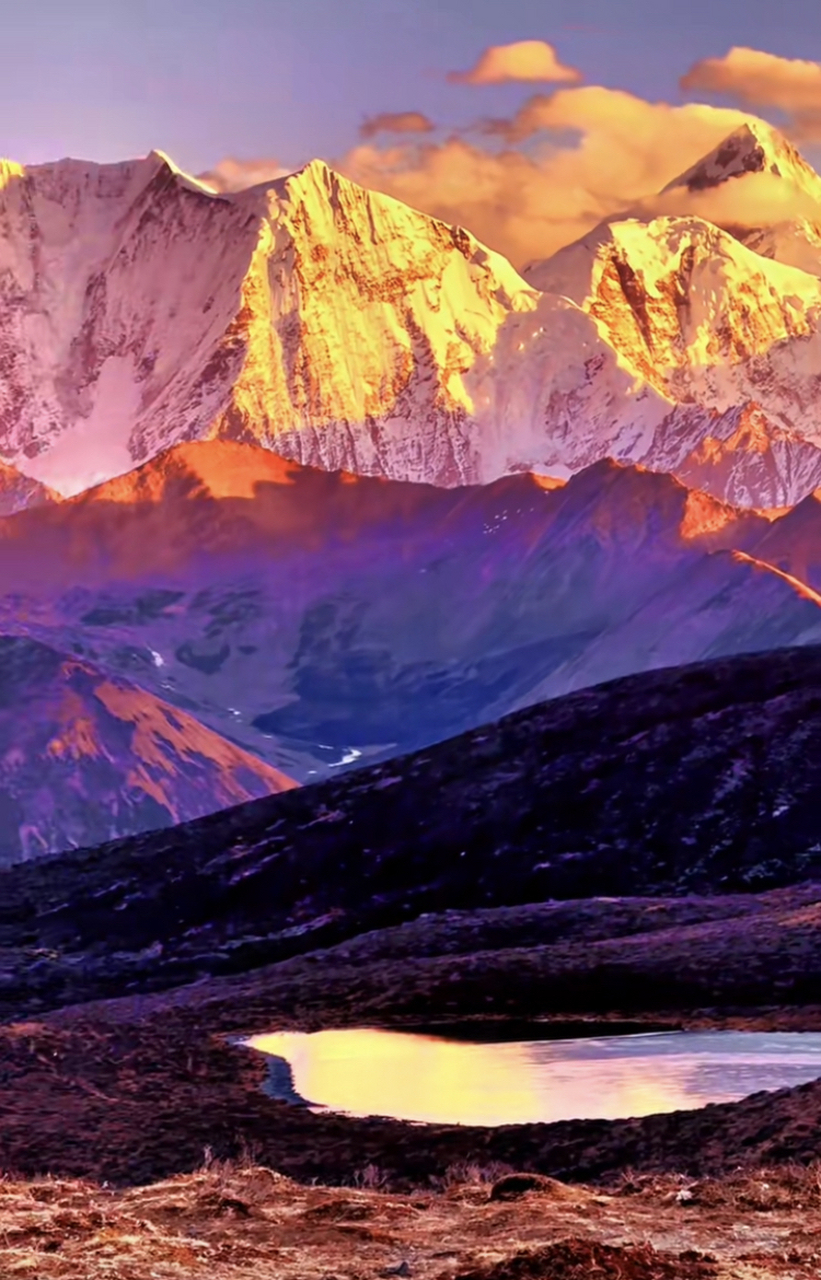 醉美金山送给您#生活# #治愈系风景# #大自然