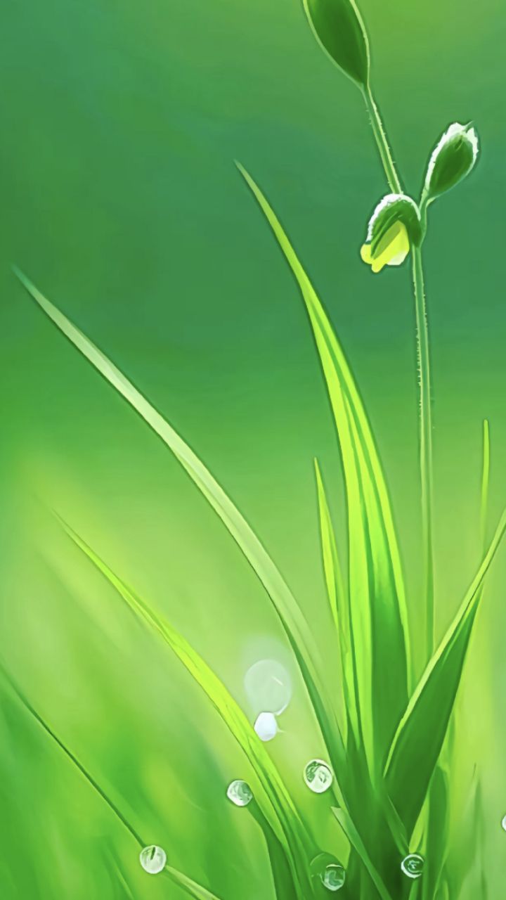 亮眼舒心的壁纸一定要分享给你,让你的心情焕然一新#壁纸# #治愈系