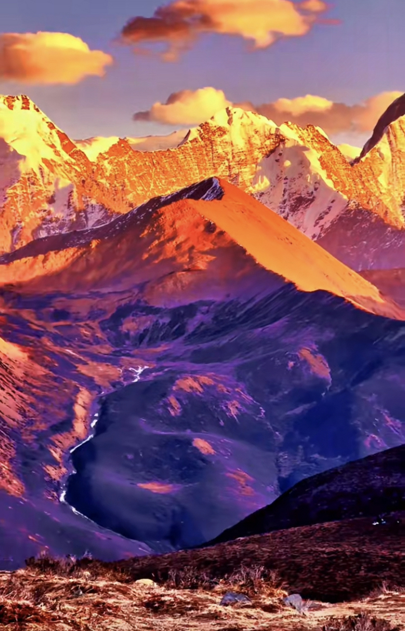 醉美金山送给您#生活# #治愈系风景# #大自然