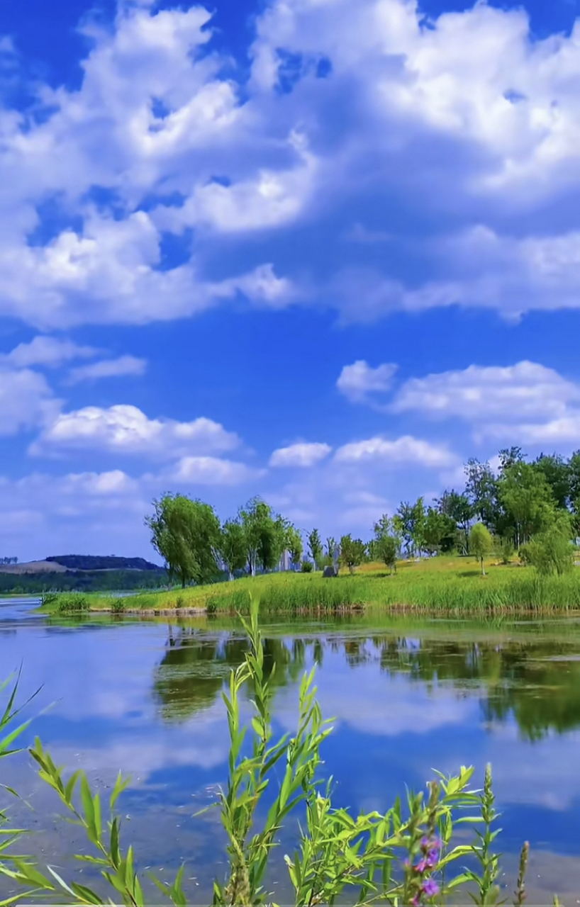 总有一种遇见惊艳了时光,总有一处风景渲染了欢喜,随遇而安,简单快乐!