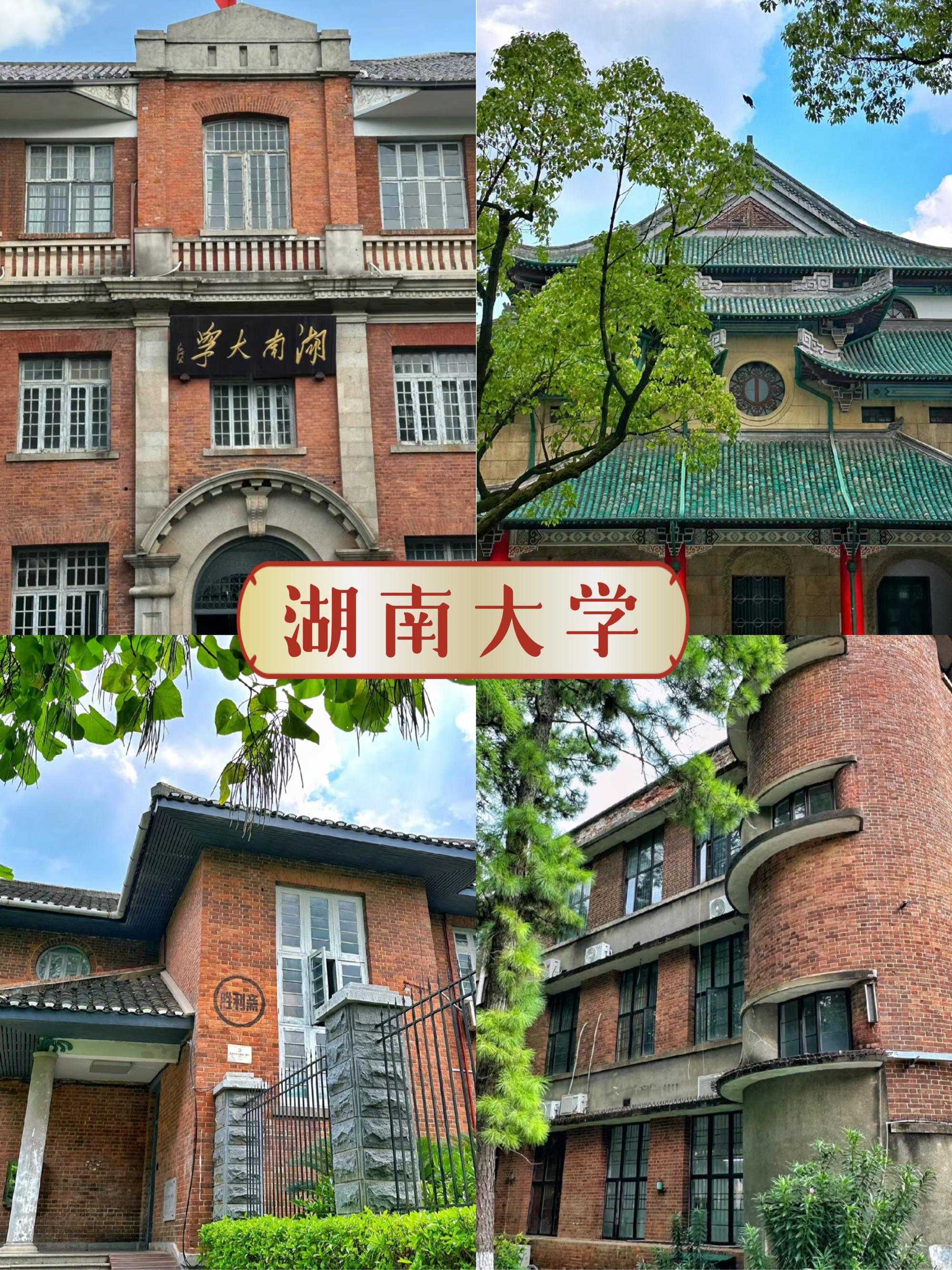 湖南大学,湖南师范大学,湖南农业大学长沙理工大学,中南林业科技大学