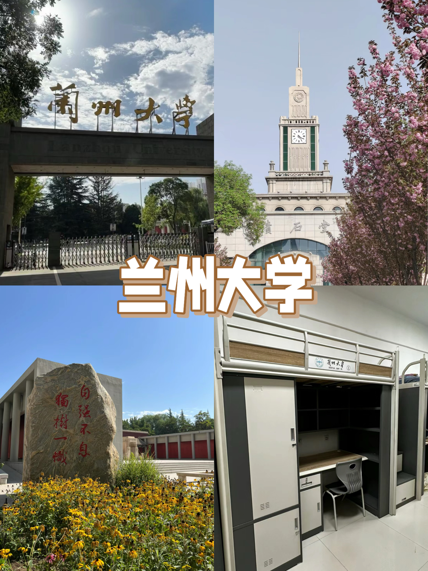 甘肃有哪些大学图片