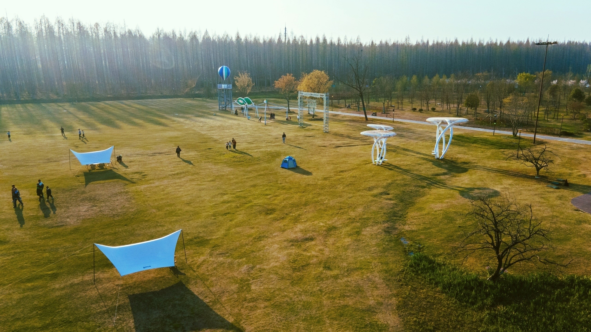 黄海森林公园,位于盐城东台市,这里是国家级森林公园,华东地区规模最