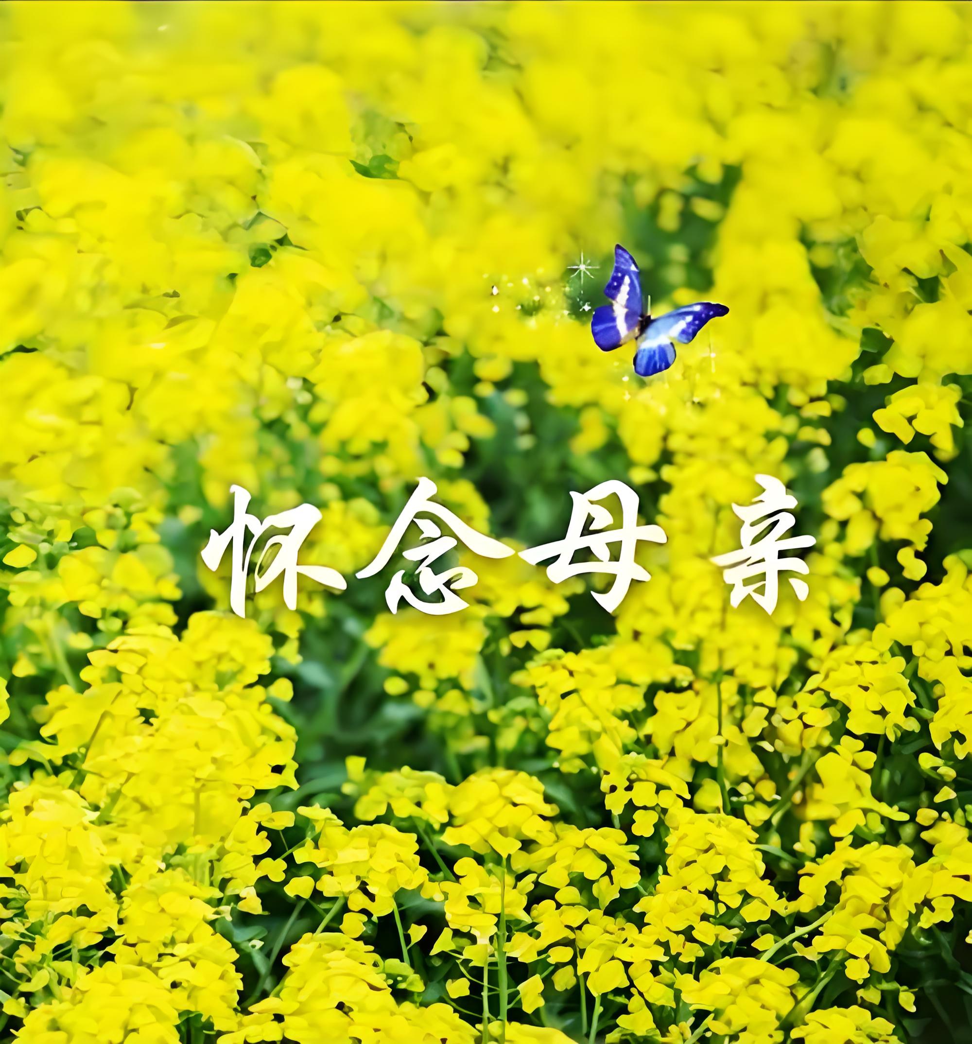 又是一年清明节