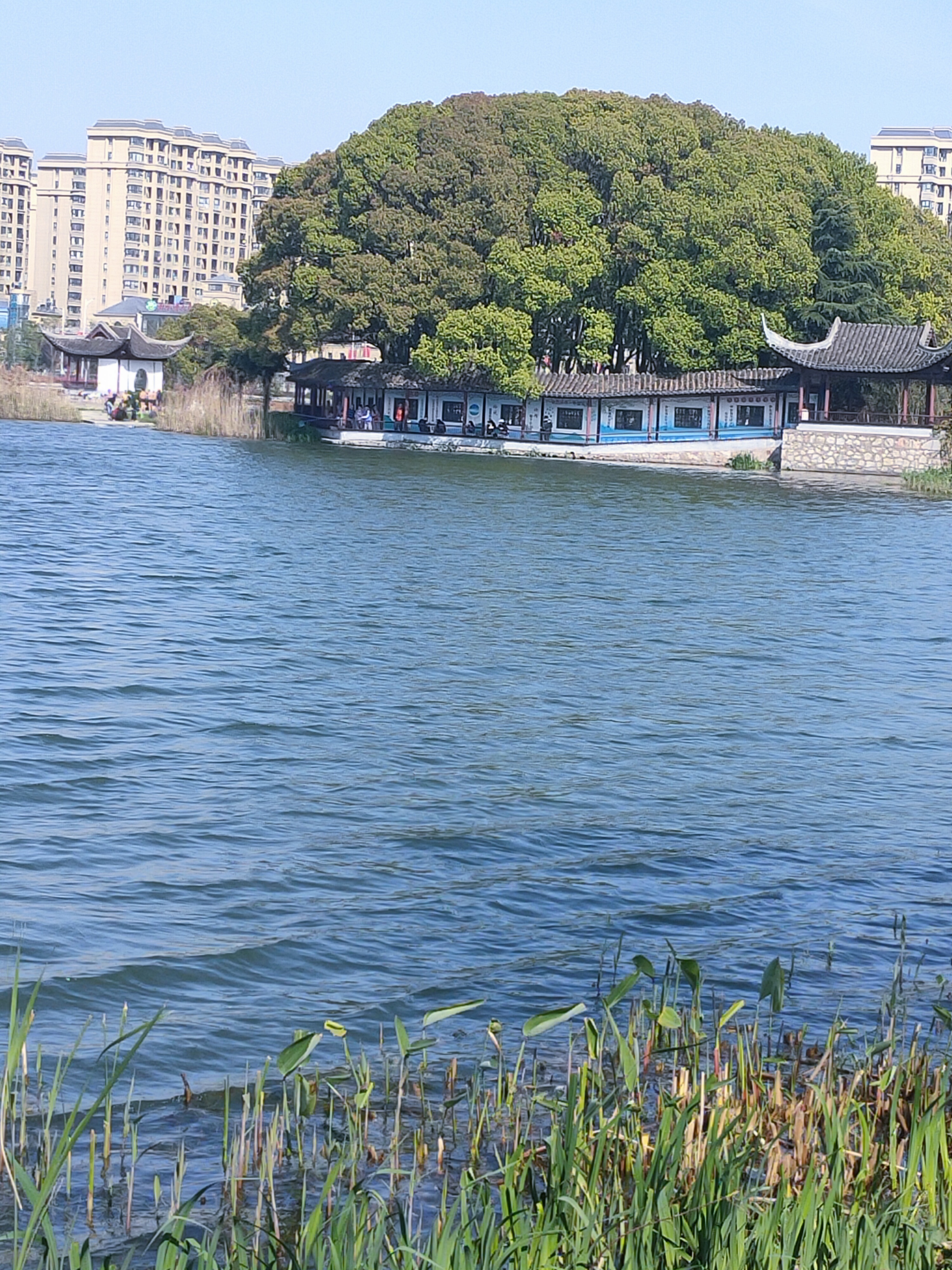 芜湖汀棠公园