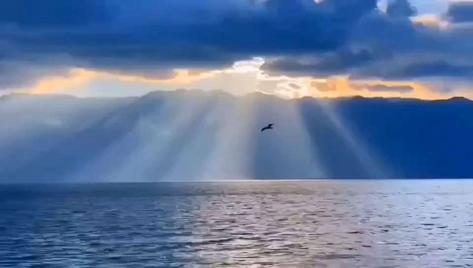 天高任鸟飞,海阔凭鱼跃[比心][欧耶][色]