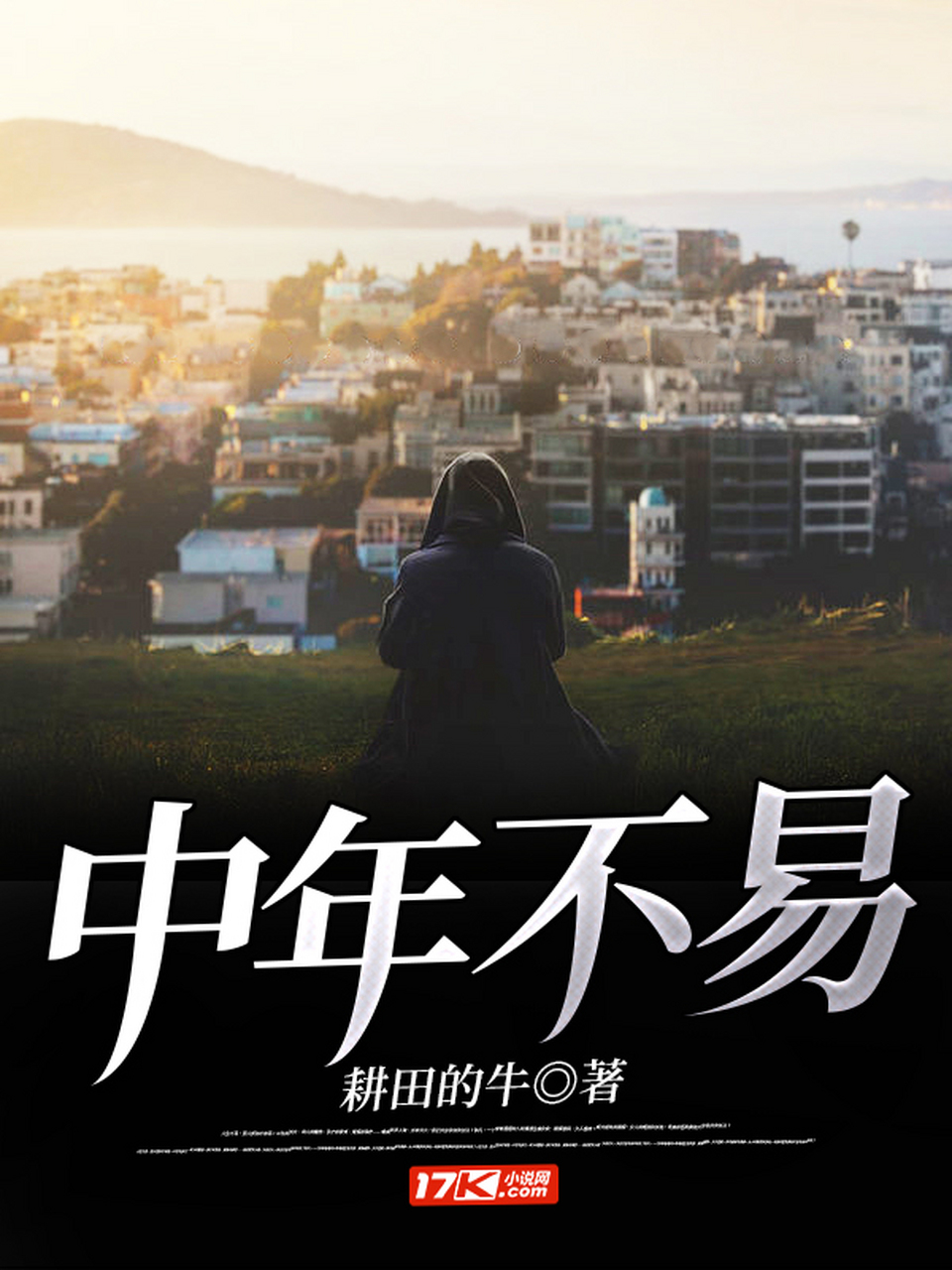 一本好书《中年不易》人到中年身不由己