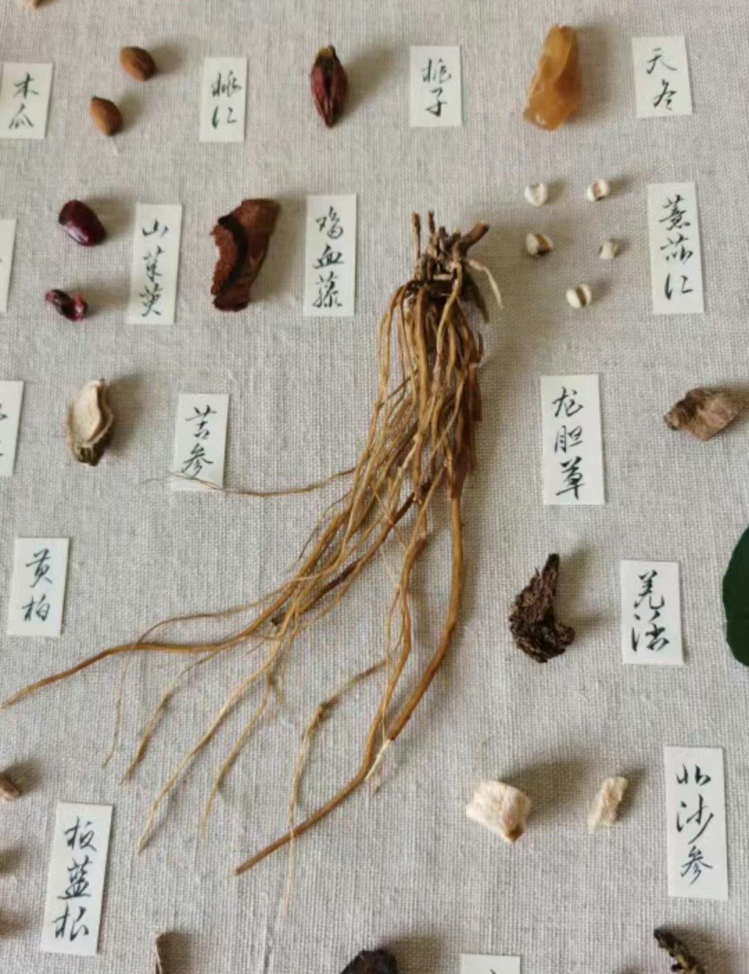 中药实物图#中医中药