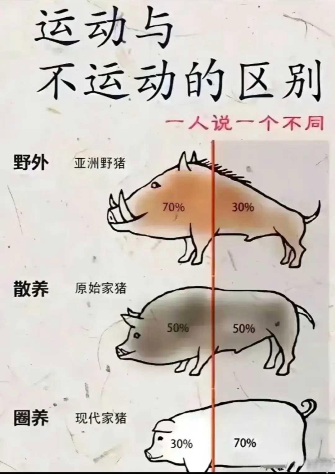 野猪通常具有野性,活动范围较广,对环境的适应能力也较强.