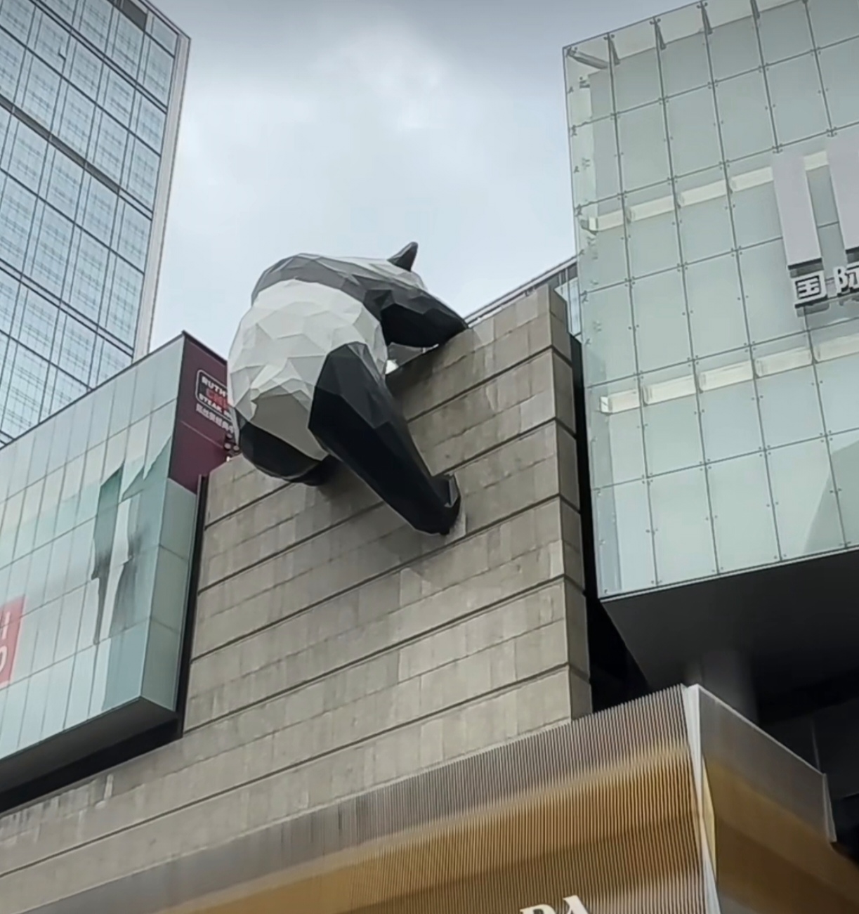 成都最值得打卡的地方:一,春熙路,成都可以看到网红爬墙熊猫,二,锦里