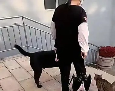 盲人陈燕把导盲犬宠成这样,正常人看了都脸红!谁能想到啊!