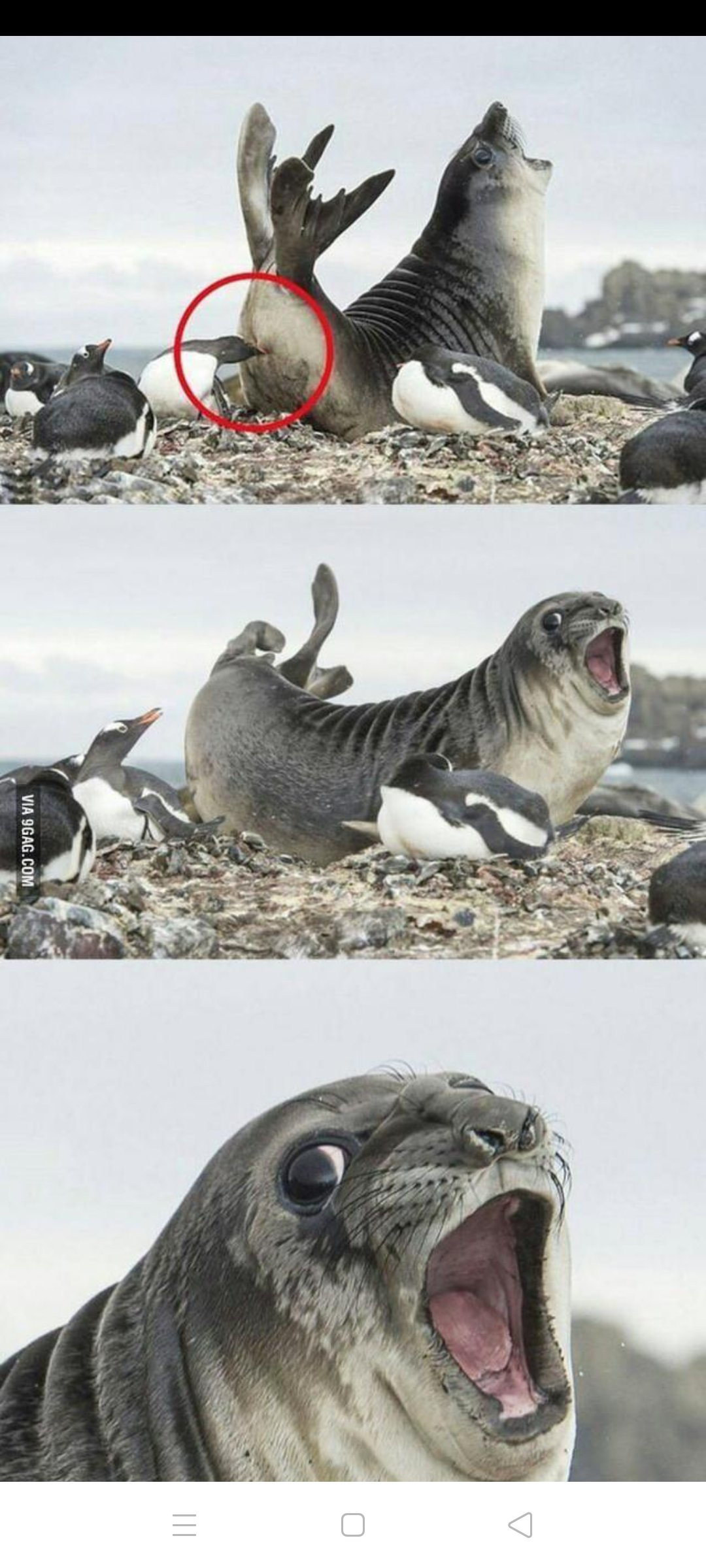 在网上无意中看到的图片[滑稽][滑稽][滑稽]