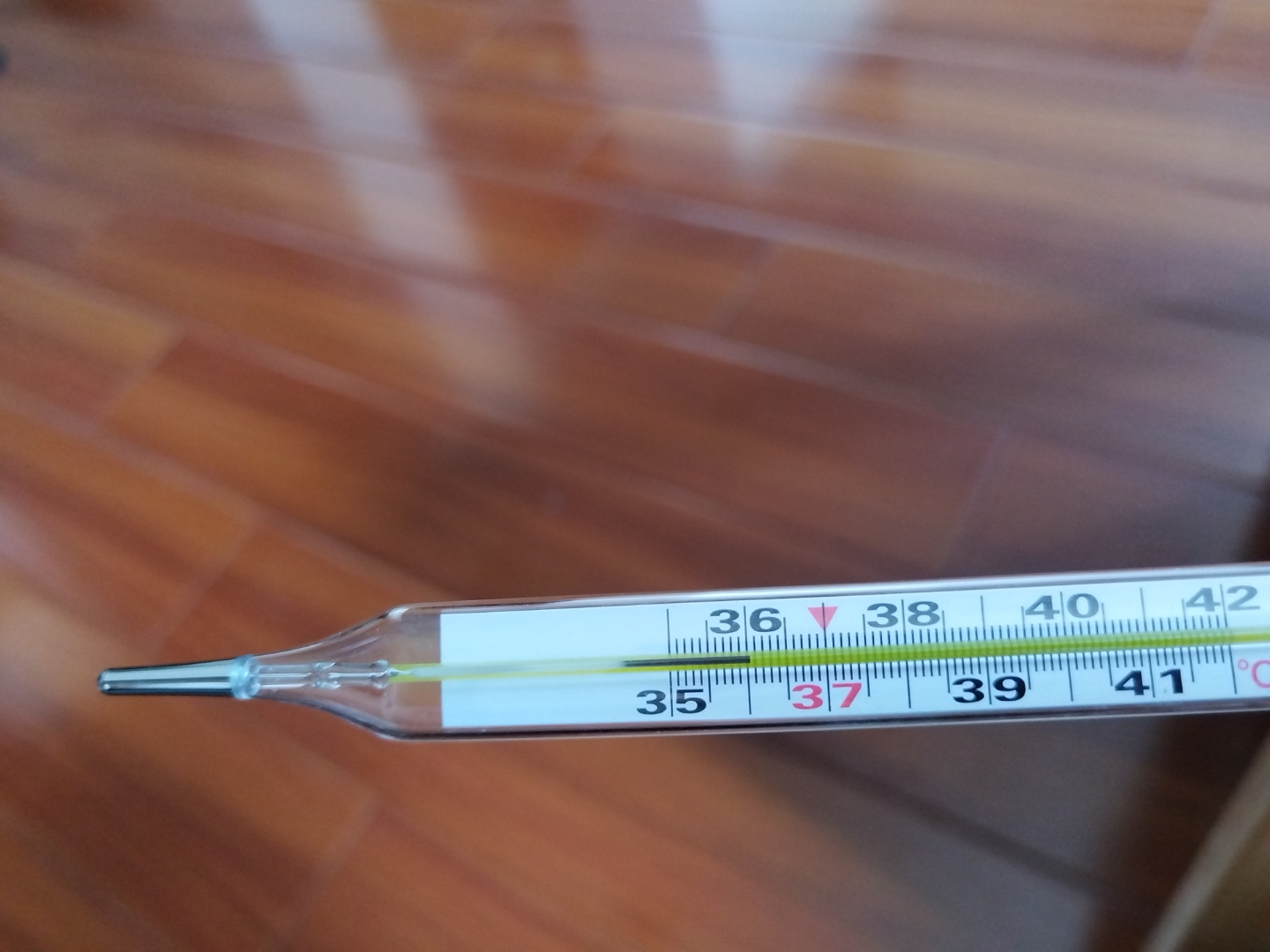 实拍体温计高烧图片体温表测温度图片用体温计测出正常的图片36度体温