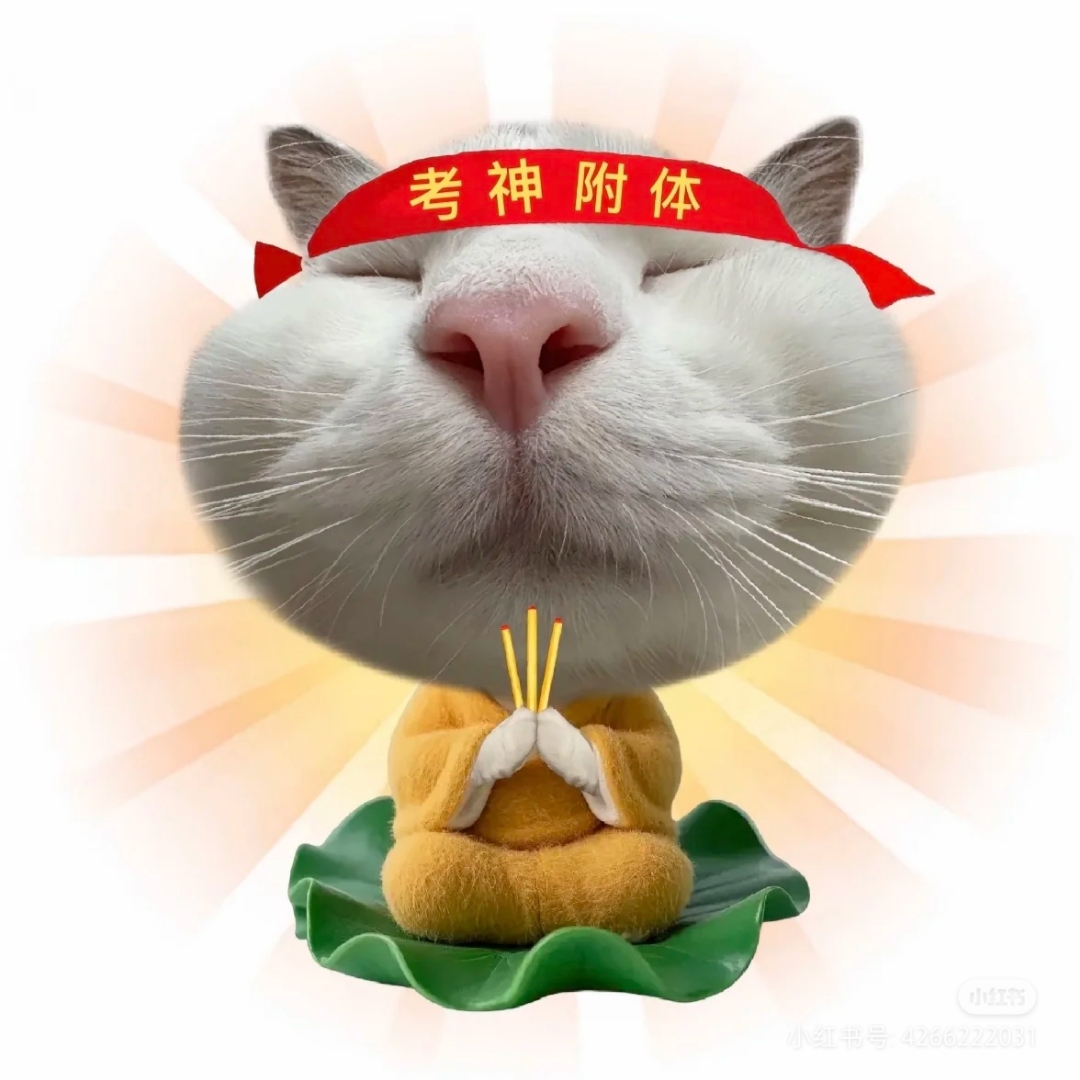 考试附体!期末必胜!逢考必过!鹅鹅鹅,猪波窝和大家期末都取得好成绩!