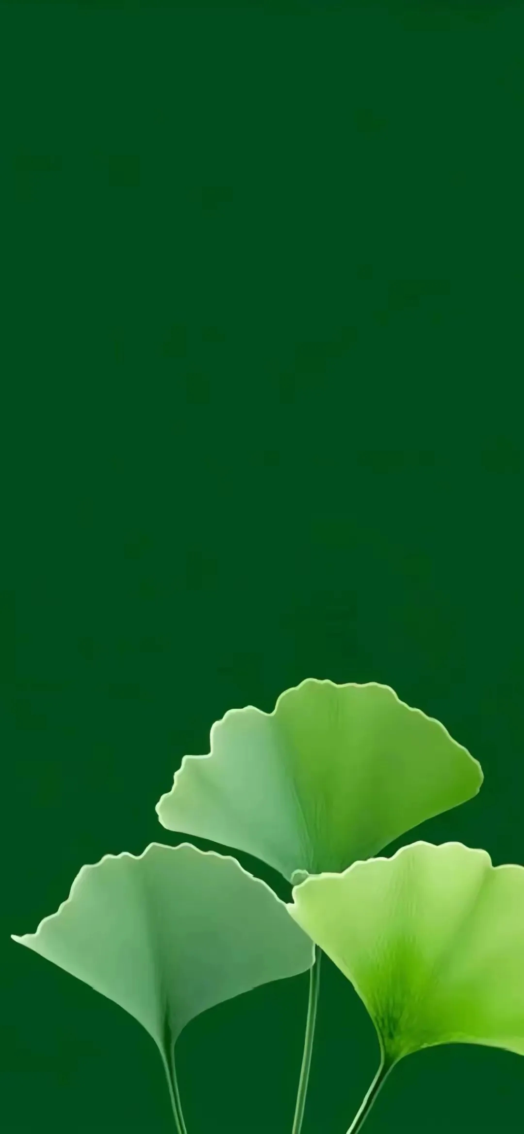 绿色壁纸,润润眼睛吧