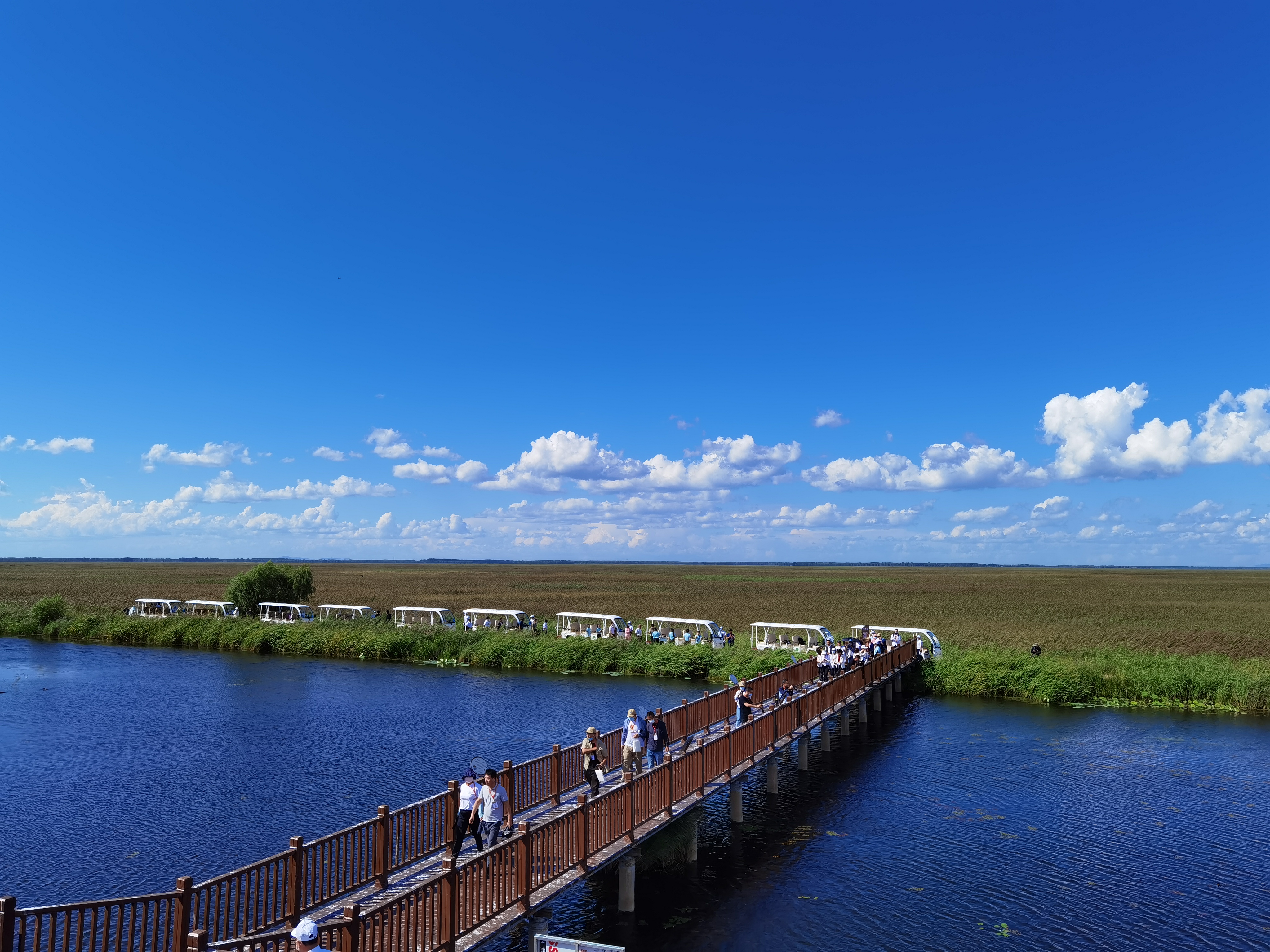 黑龙江宝清七星河湿地