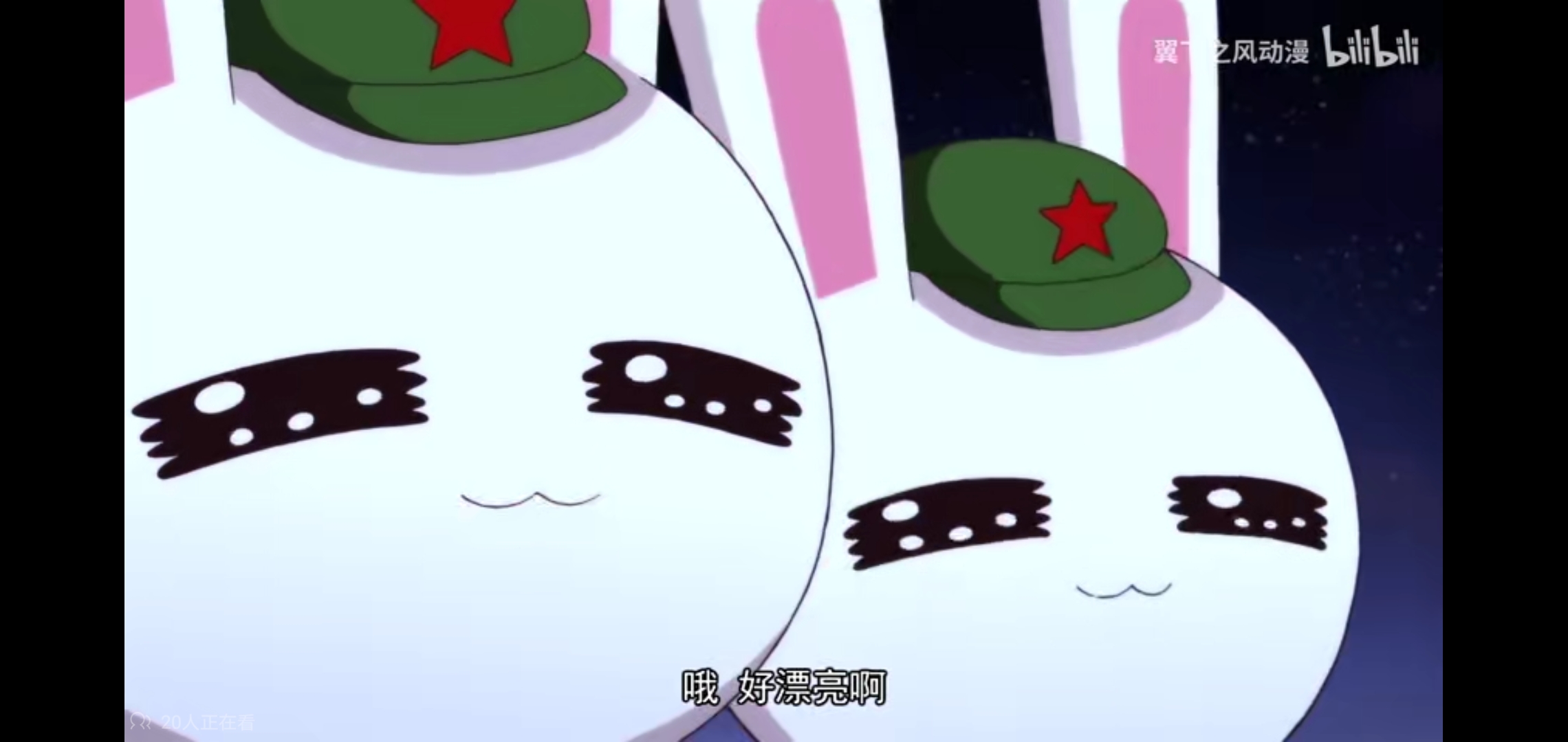 种花家的小兔子