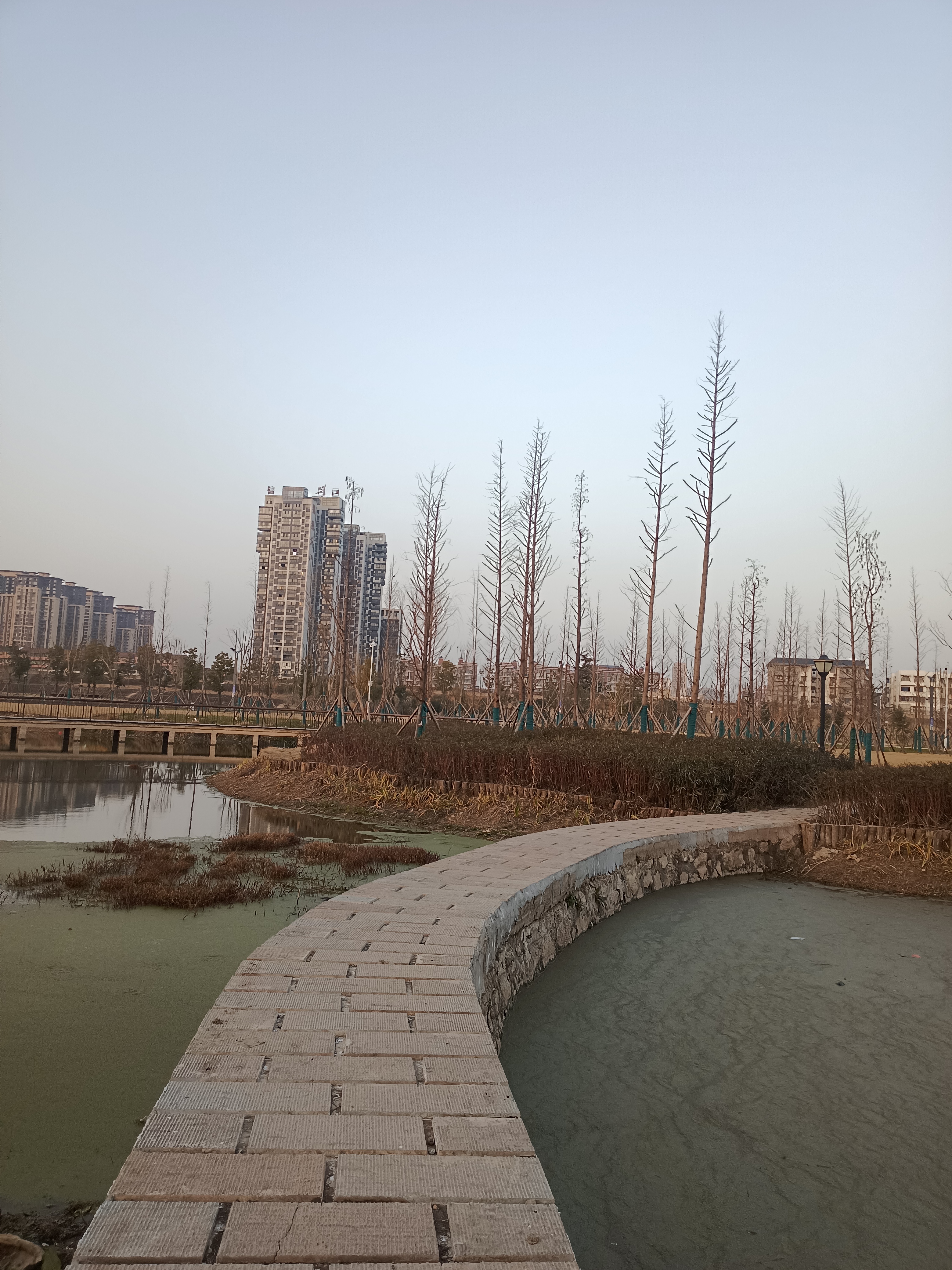 随意的江滩公园走走