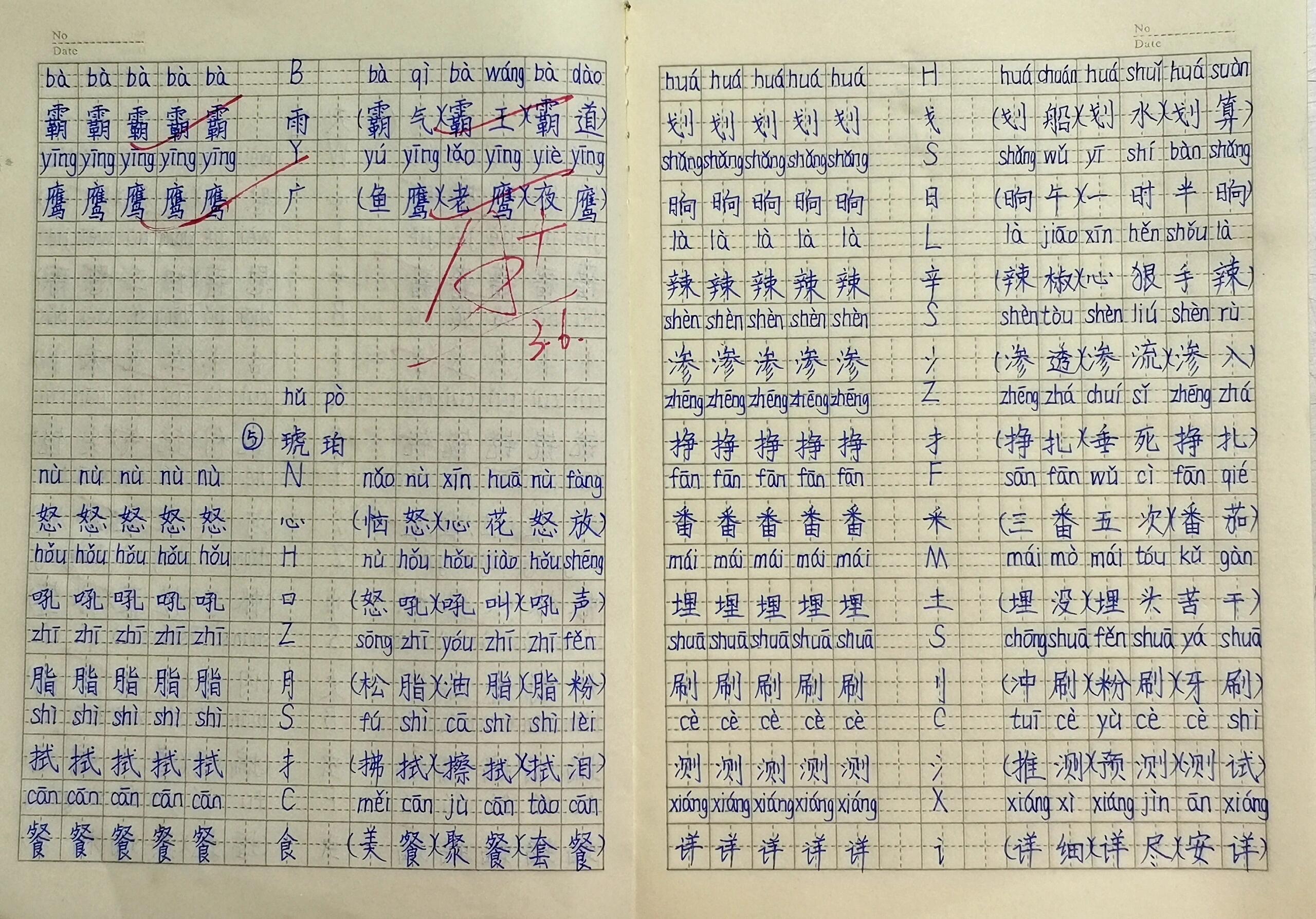 琥珀课文生字图片