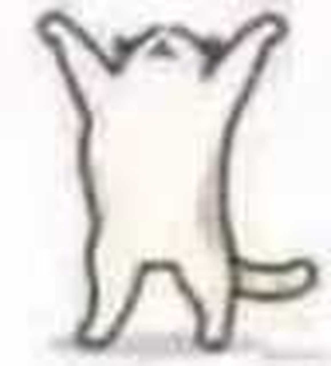 当我关注了一位神仙作者[鲜花]@肆小蟹