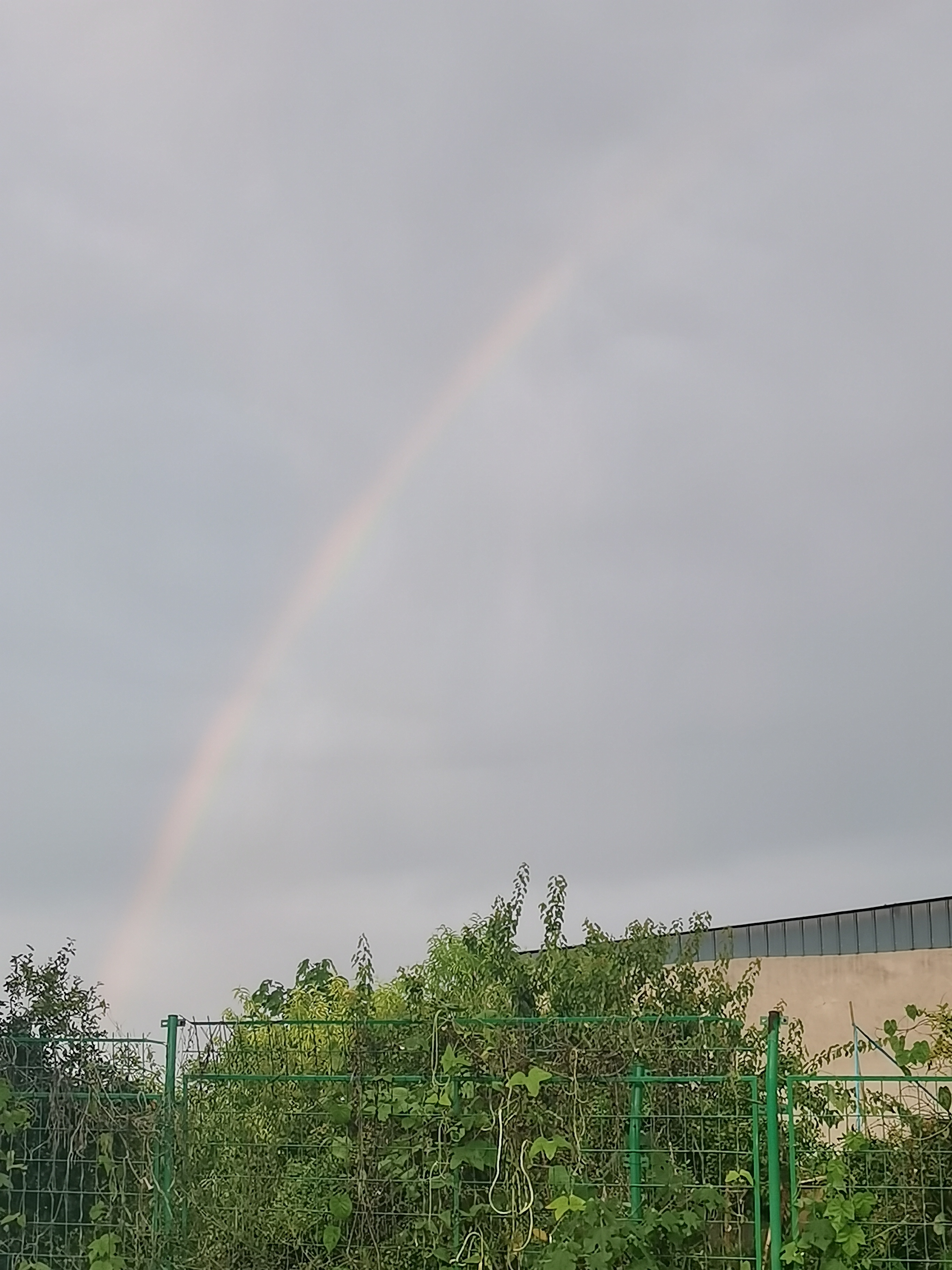 风雨过后见彩虹