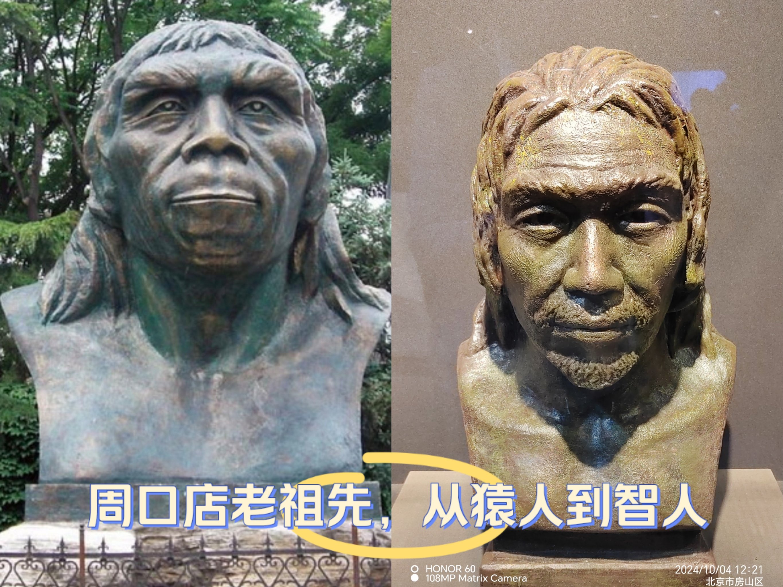 先说结论:猿人并不