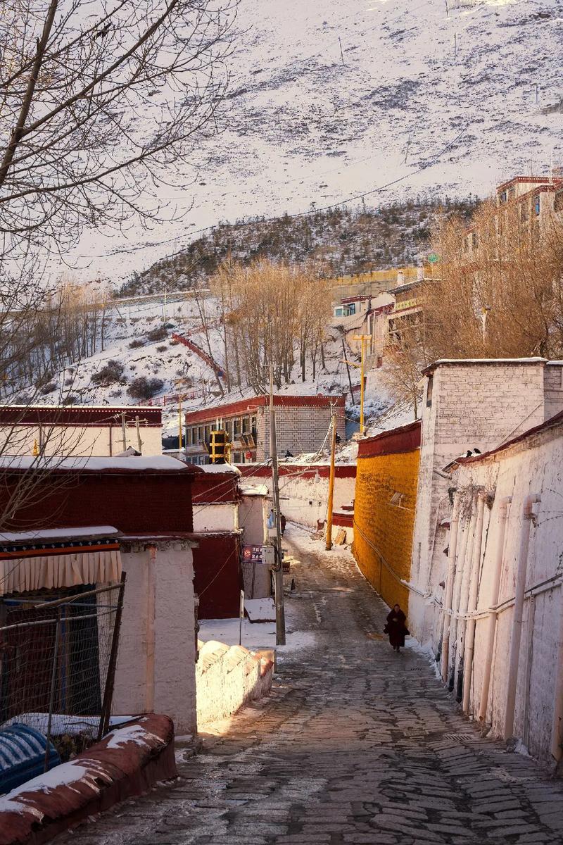 善良过头了,就是软蛋