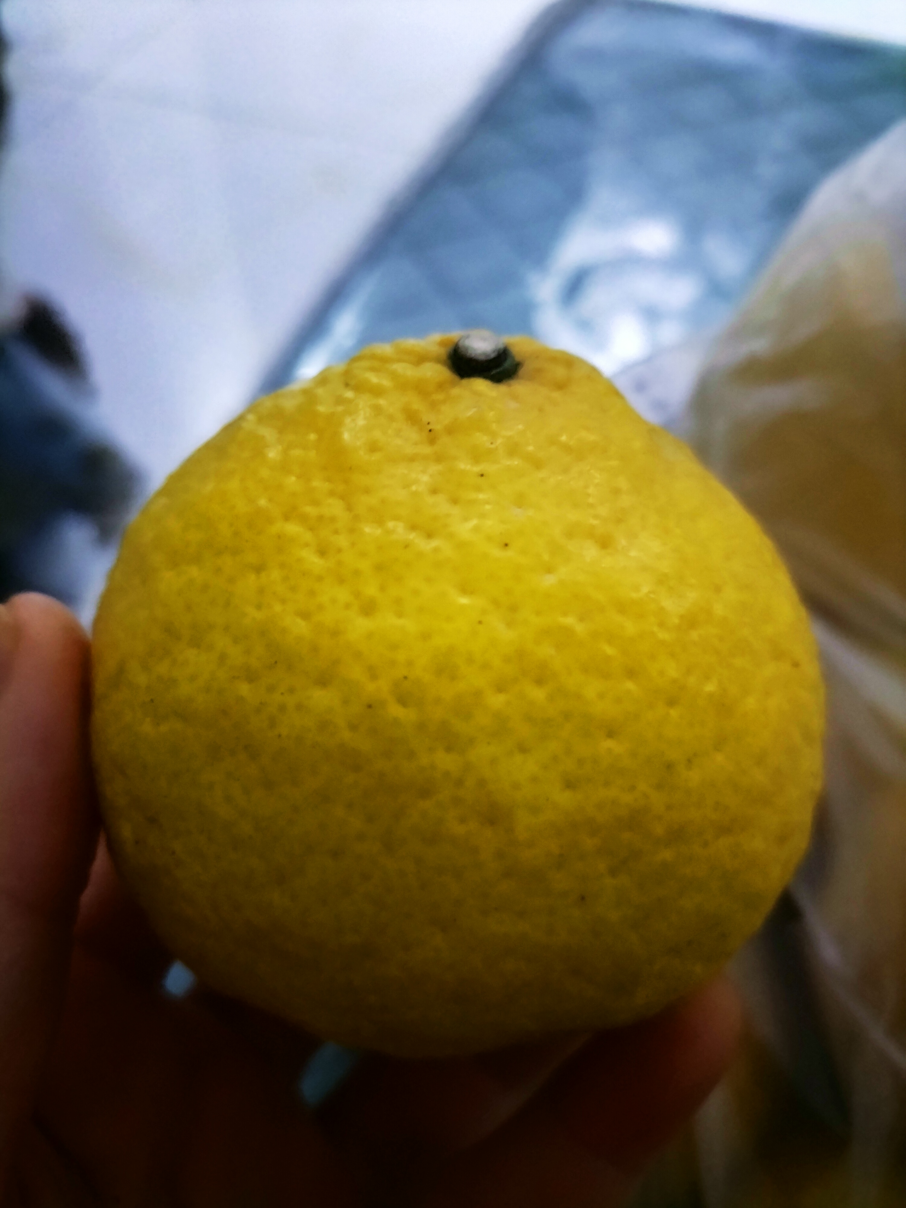 远看象柠檬, 近看似柚子, 味道是桔子, 现在的水果都是杂交的!