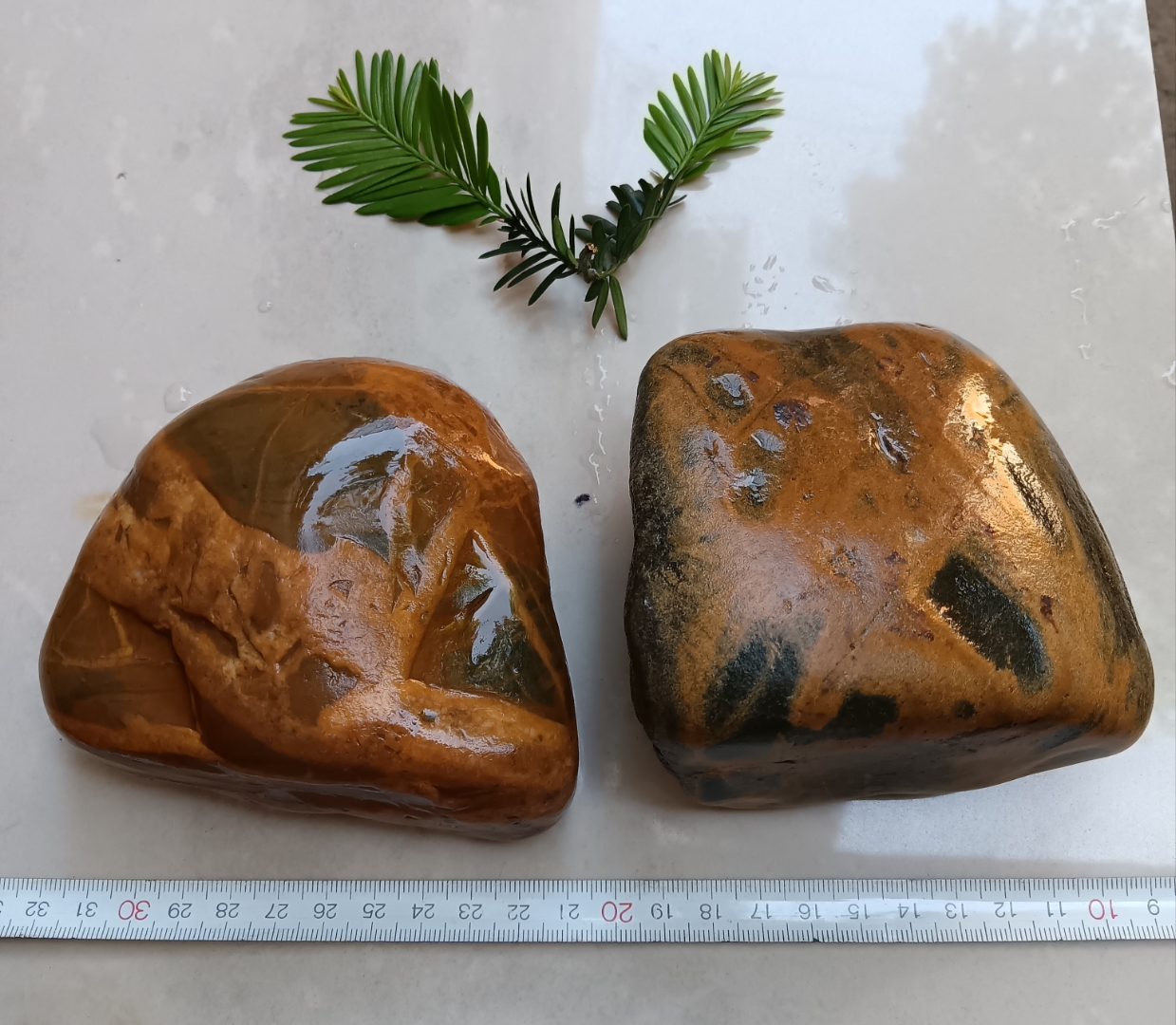 奇石.好石头不用看第二眼,捡起来放入袋中. 好一尊枝间小鸟石