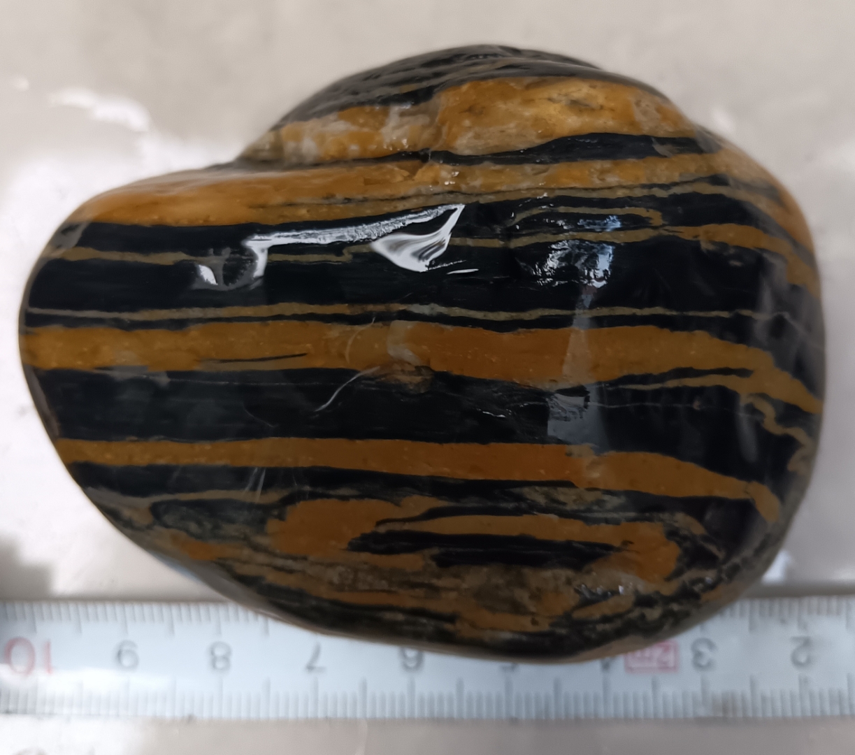 条纹石.鹅卵石.柳州奇石. 来源:柳江河床底