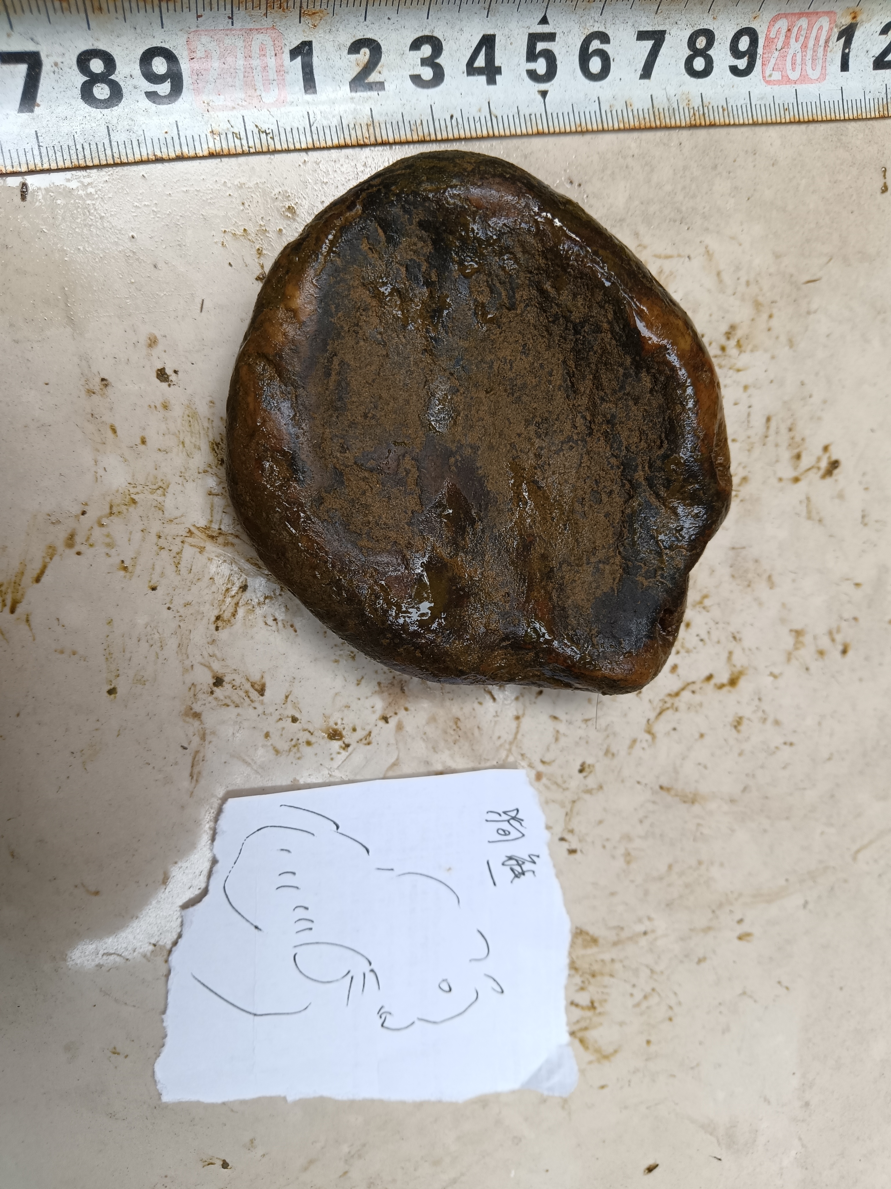 柳州石.介绍一下. 今天去捡石头,再怎么说也值100块,有50斤