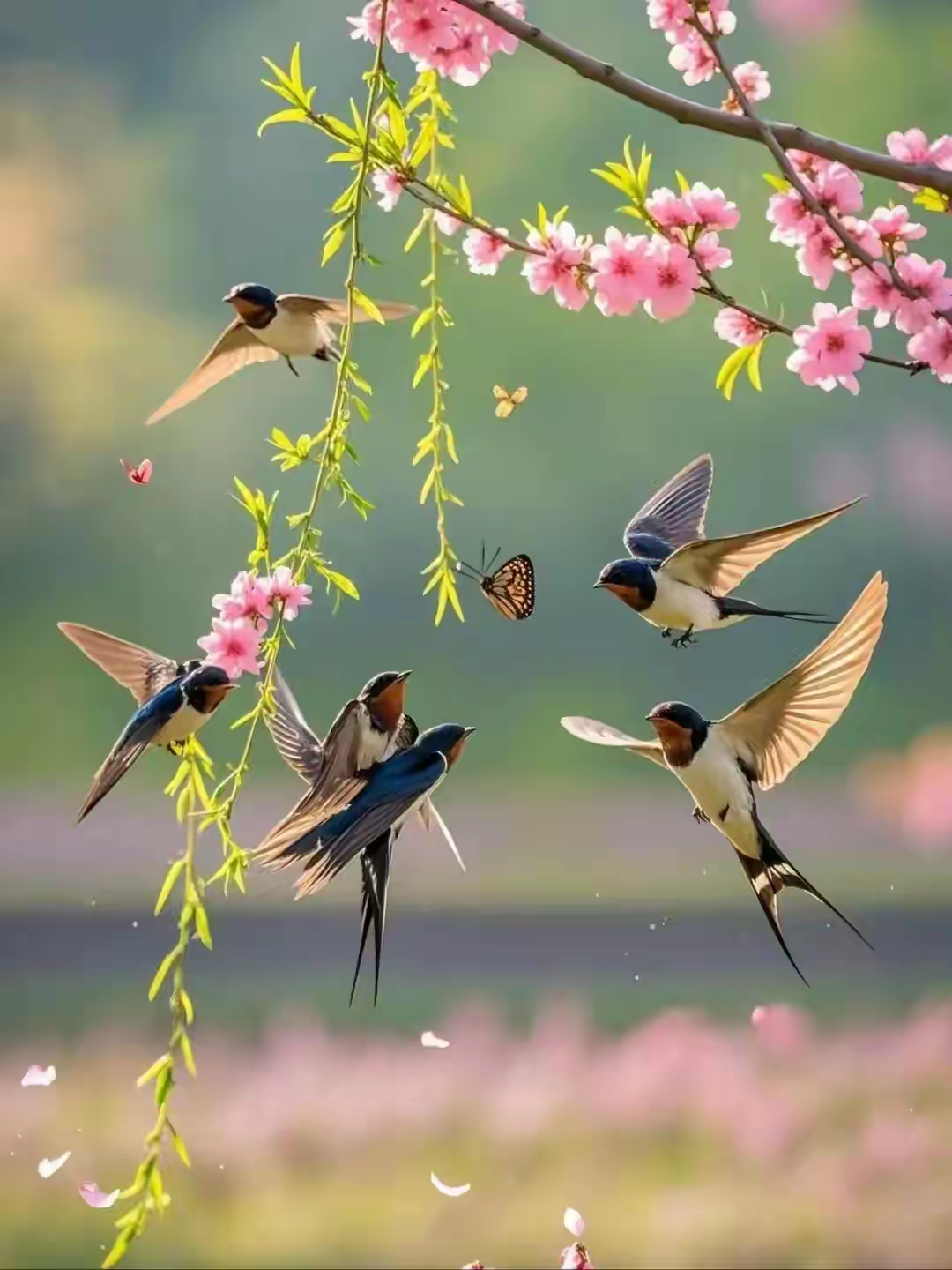 谁共衔杯消永日? 闲情三分诉春知