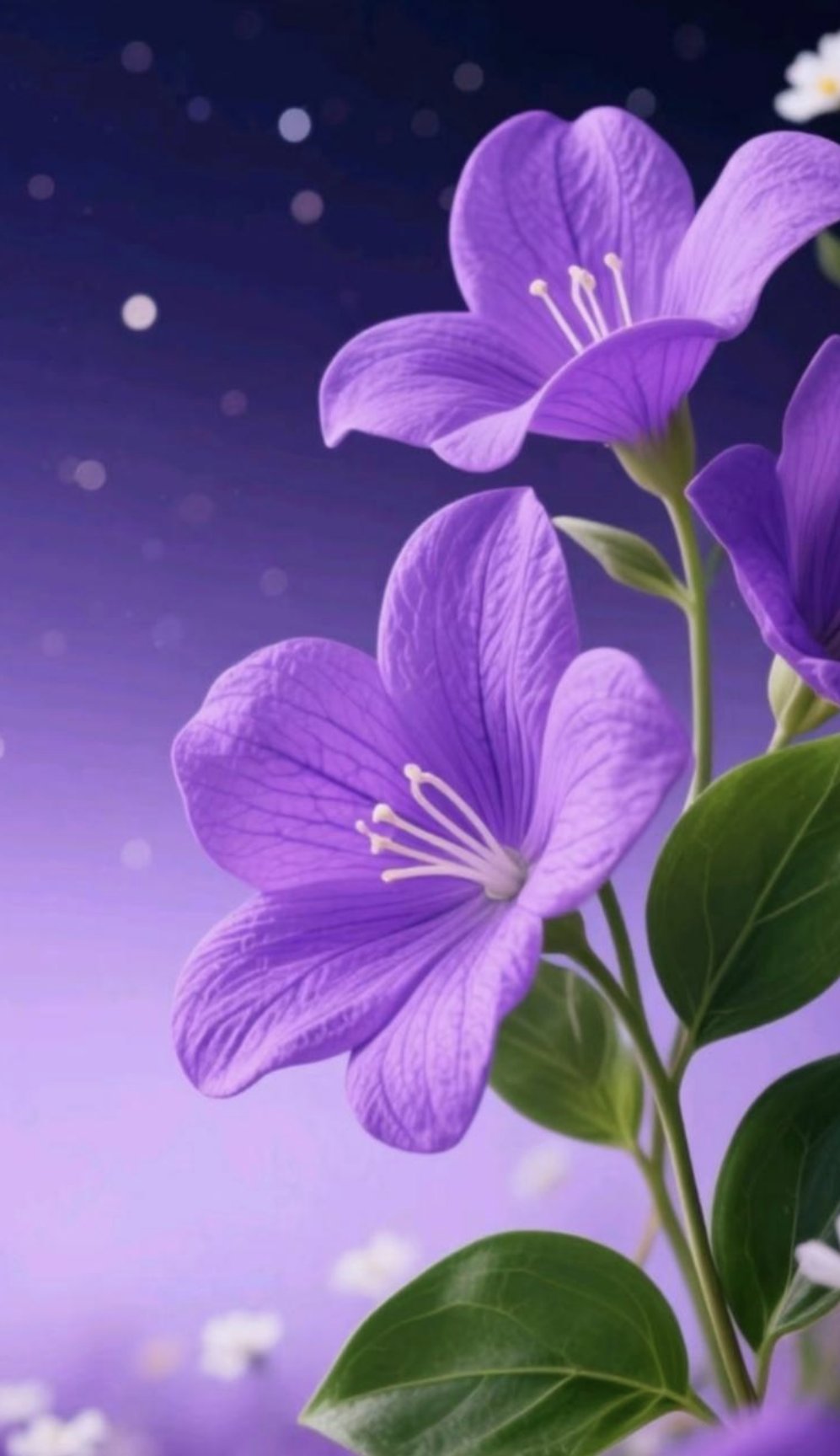 手机屏保壁纸五彩缤纷的花花来了