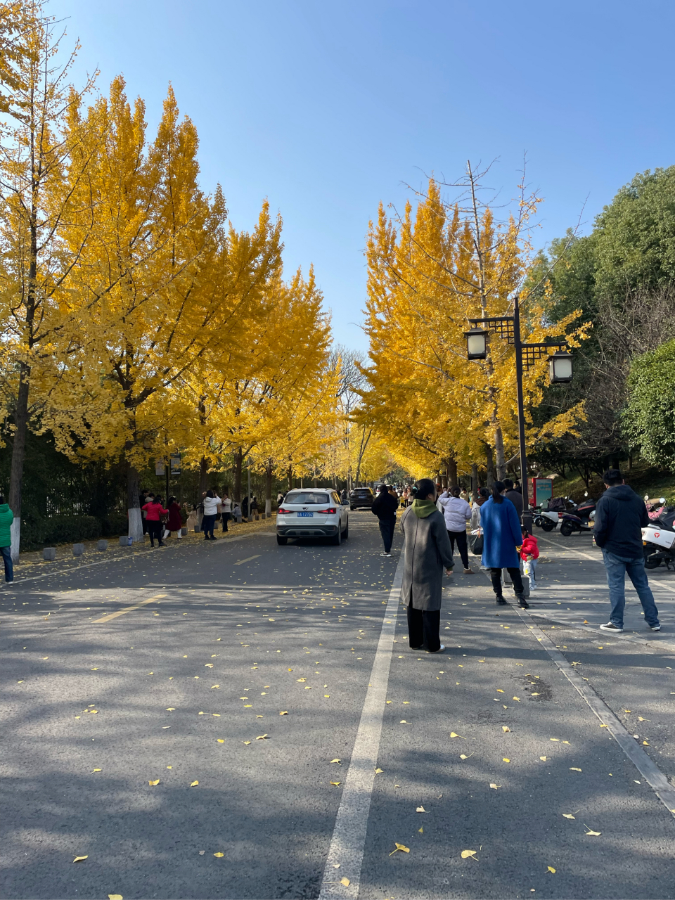 琅琊古道图片