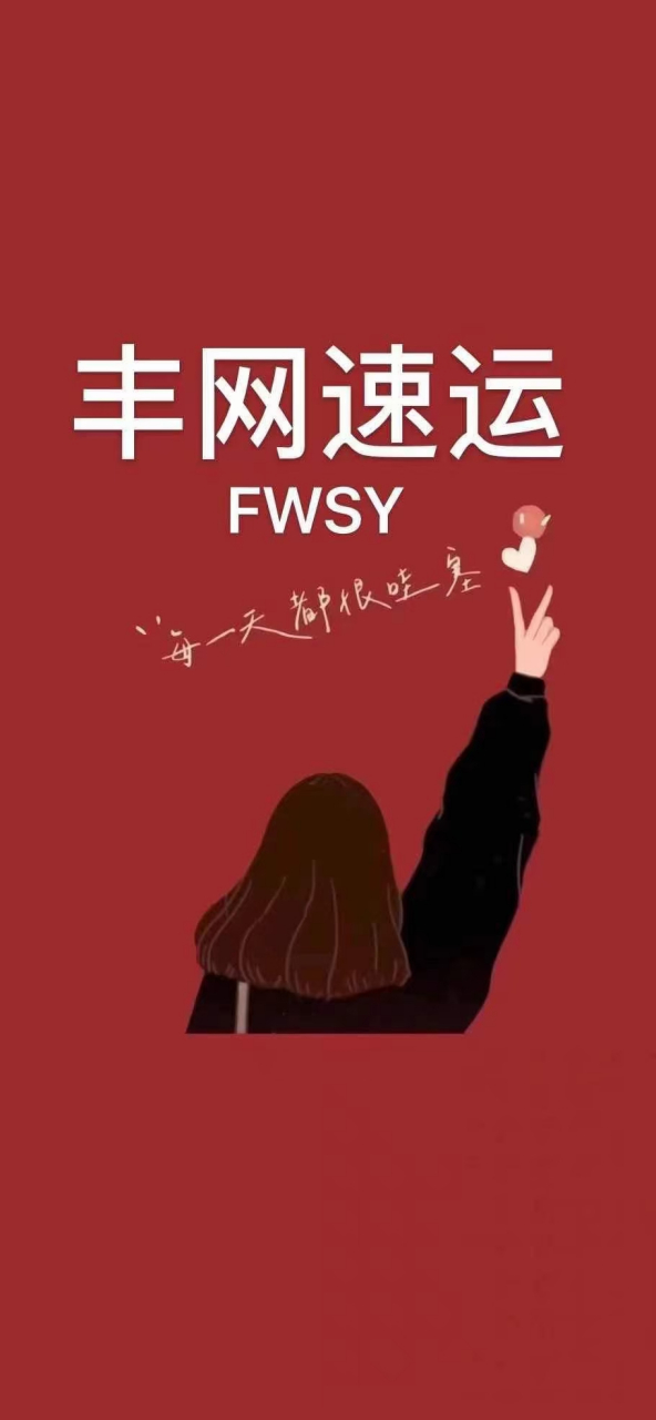 丰网快递 丰网速运