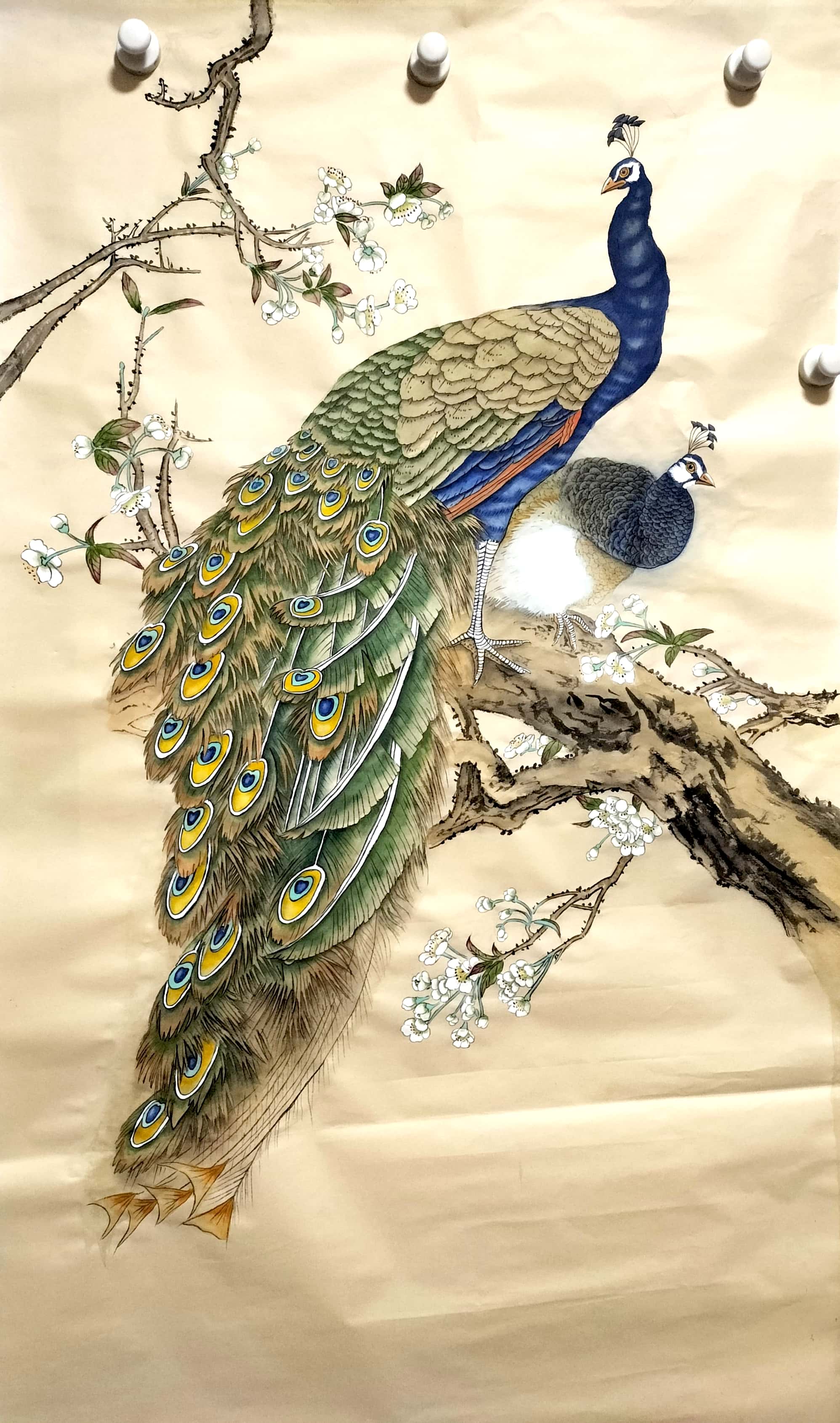 四尺整张工笔孔雀和手绘手写折扇是艺术品也是收藏品,不仅有精美的