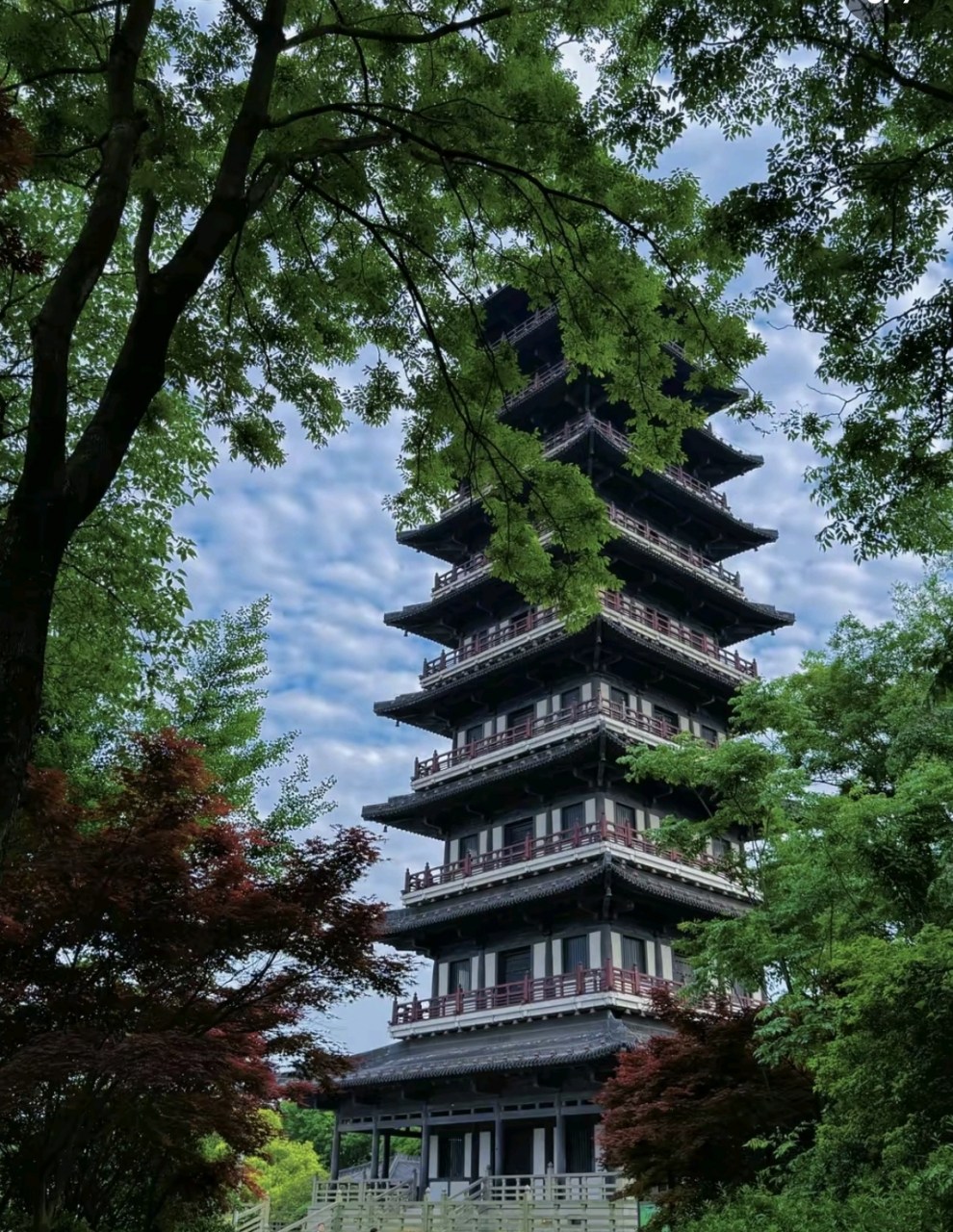 宜兴龙背山森林公园这里美成了国家地理杂志 宜兴龙背山堪称华东最大