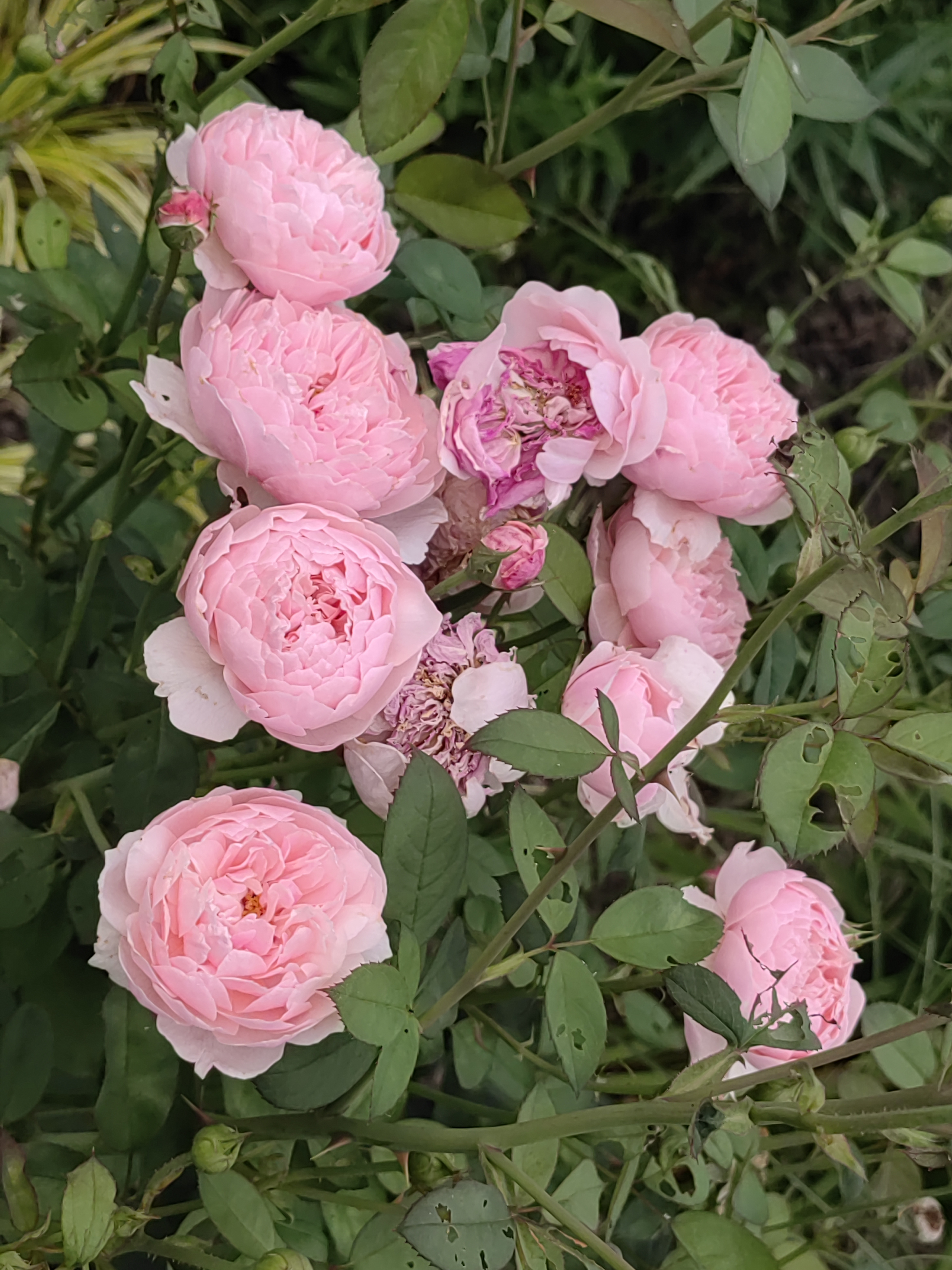 3072_4096竖版 竖屏