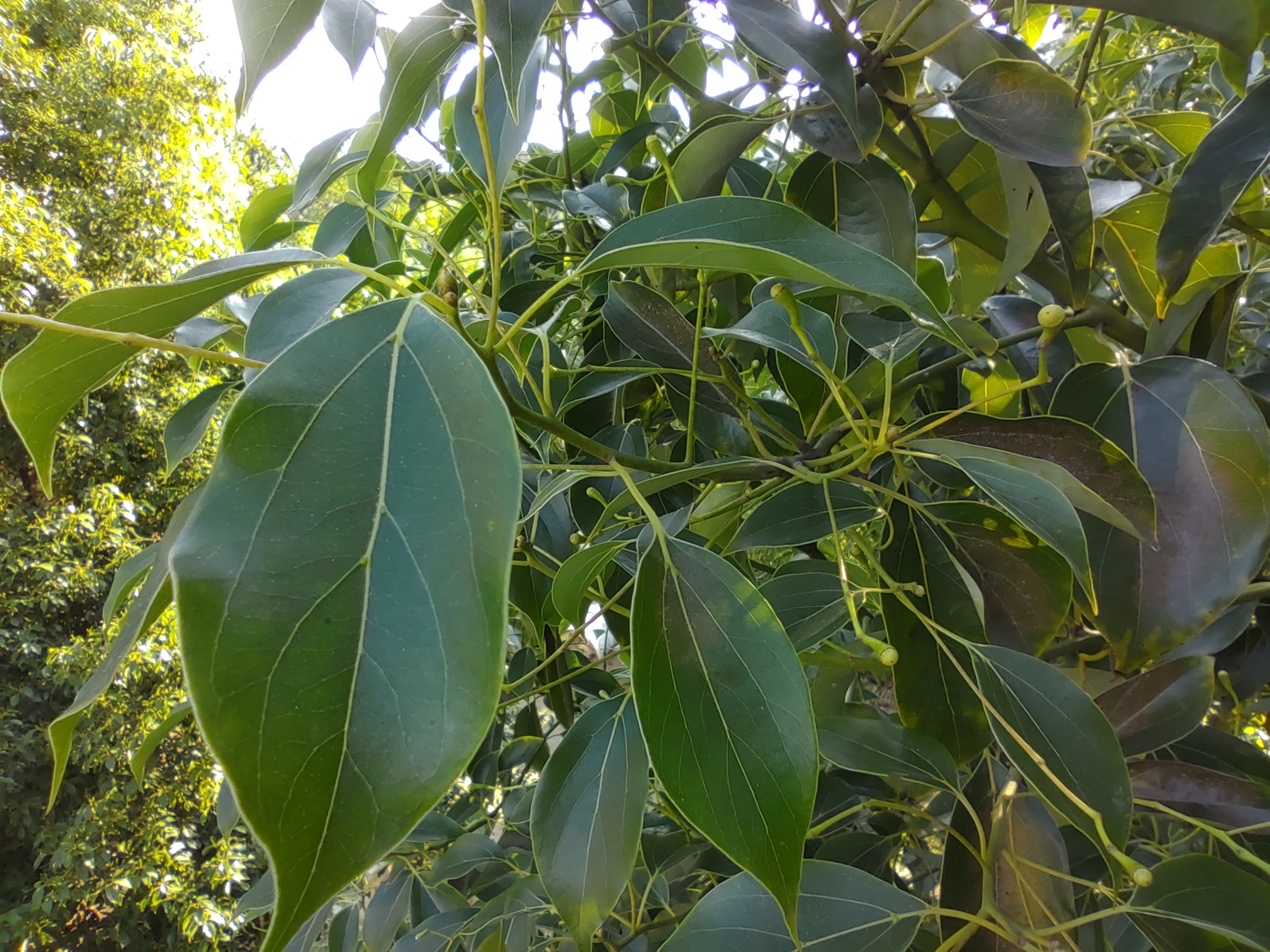 早上好,亲爱的朋友们,让我们开启美好的一天