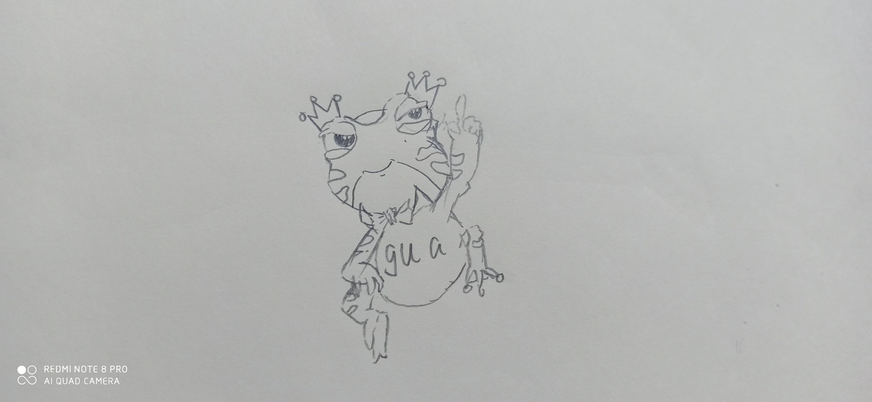 我叫喳喳呱呀 @喳喳呱 呱哥,你看