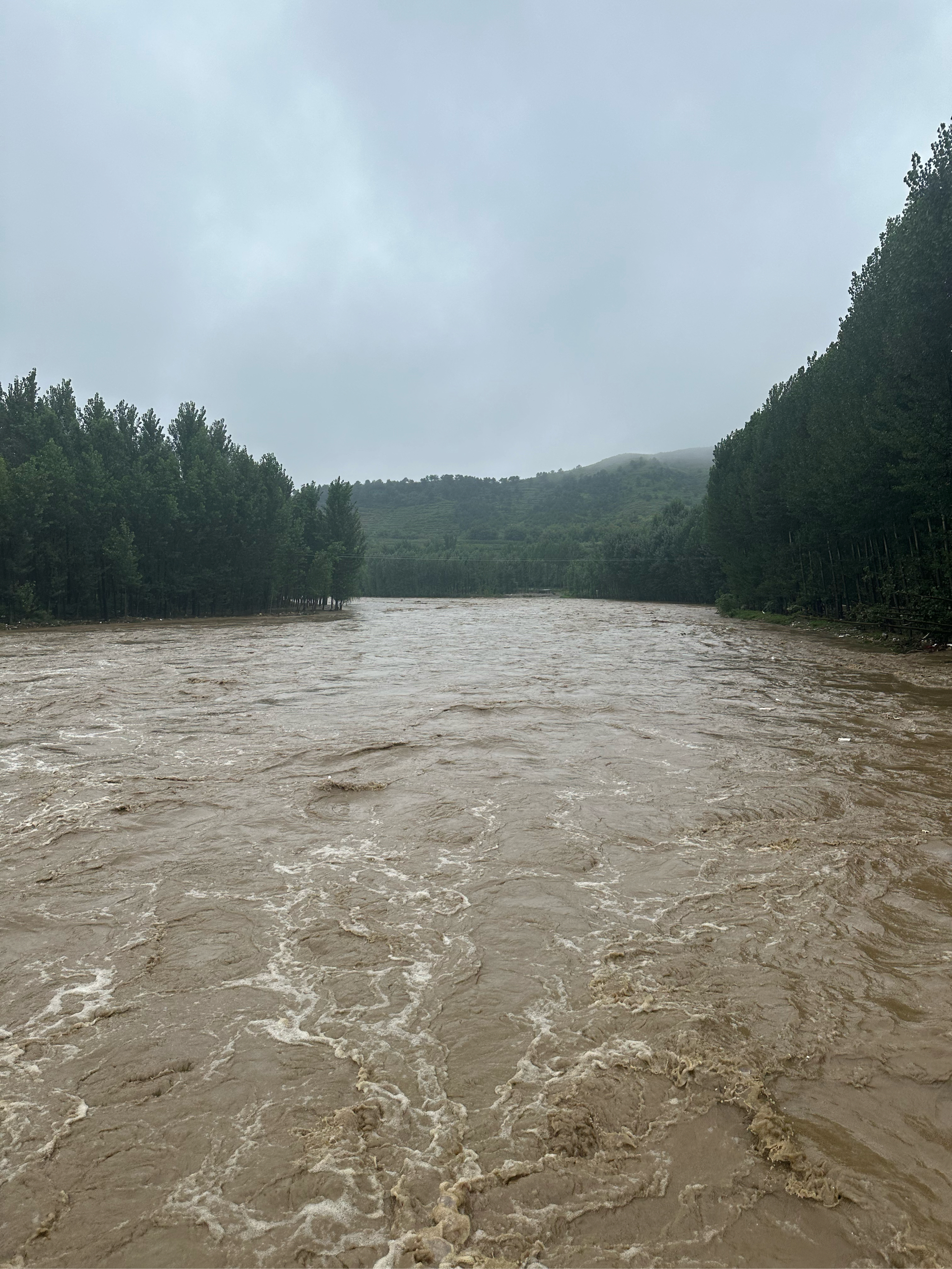 前擦岭村前的河涨水了!