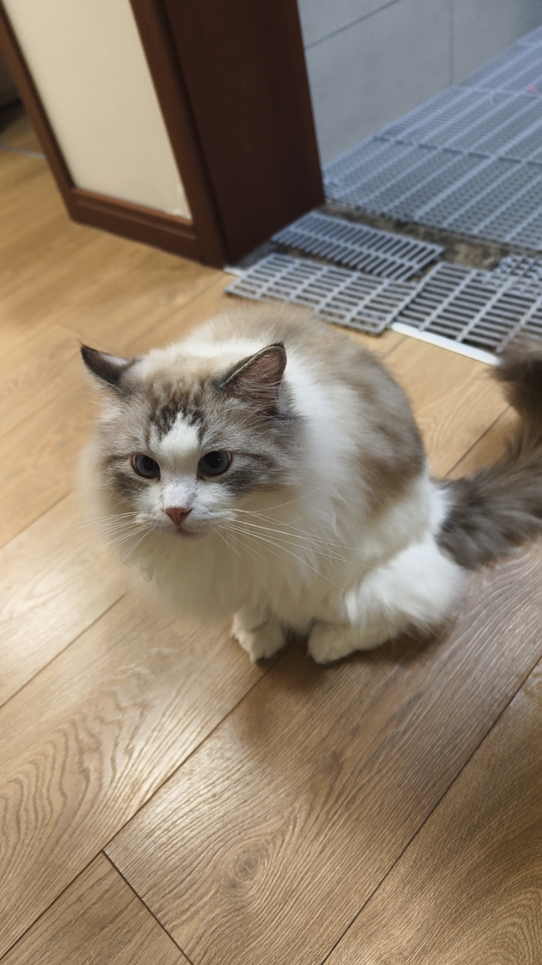 "纸上得来终觉浅,绝知此事要躬行",技术理论学好是第一步,通过长时间