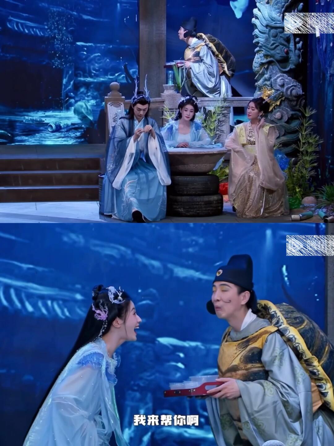 王子赛道,千里马赛道,公公赛道之后,这是又让他找到了龟丞相赛道了吗