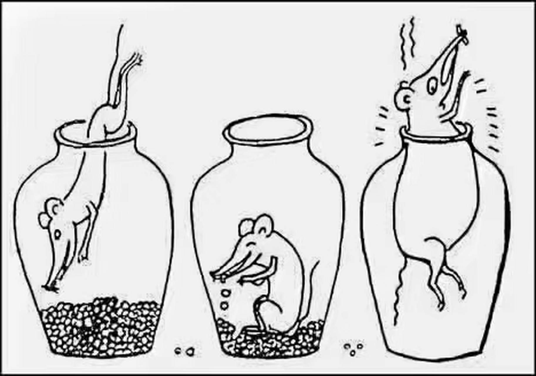 安逸的陷阱: 爬进去容易,爬出来难!