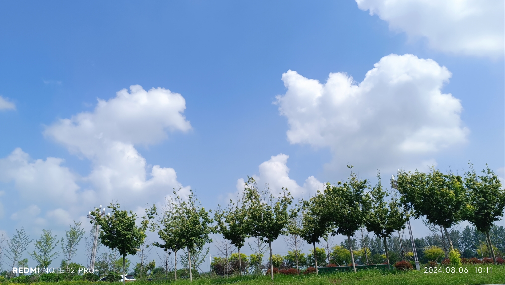 蓝天白云下,一排绿树成荫,微风轻拂,心情如这景色般舒畅