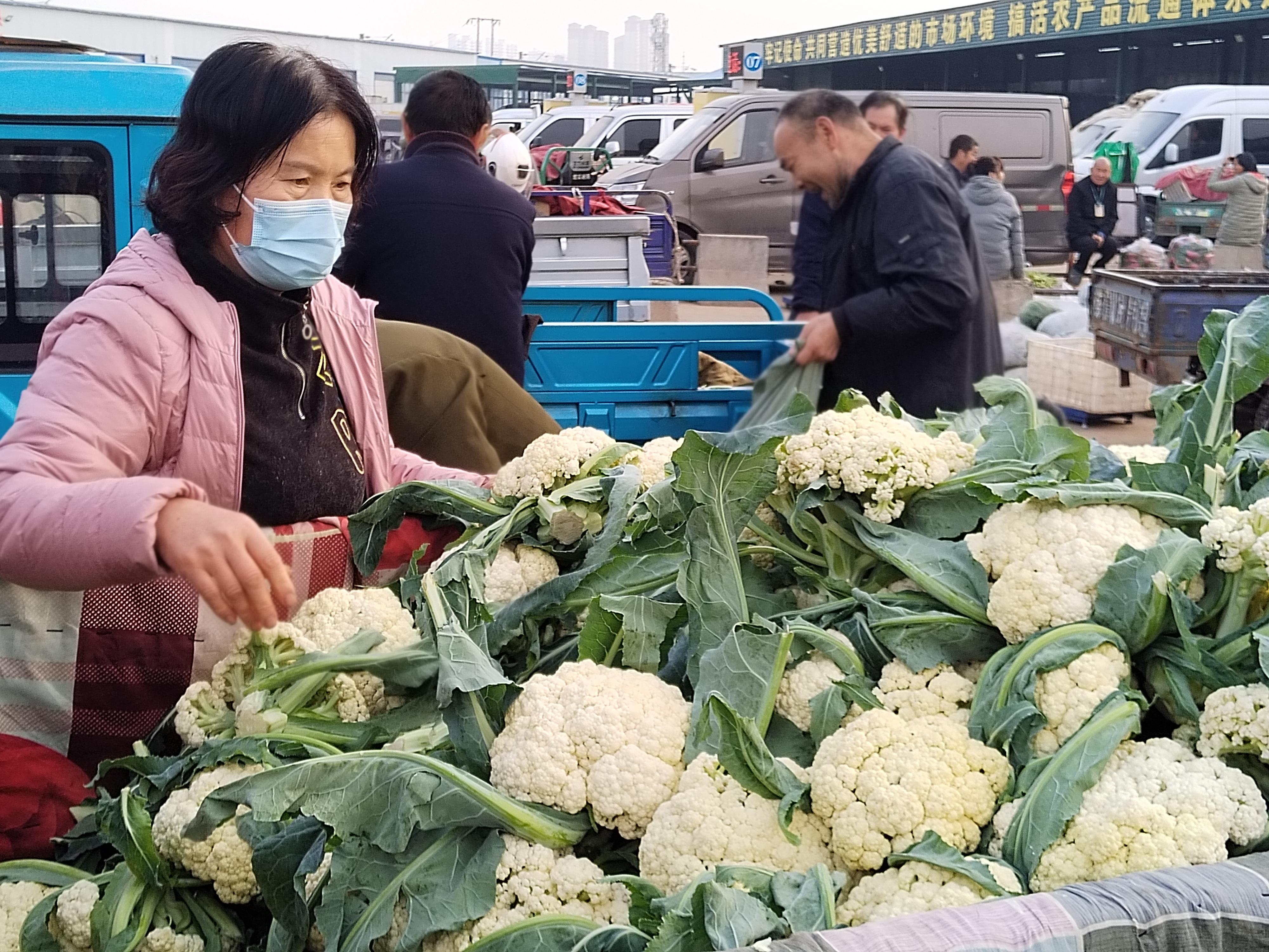 洛阳通河农贸城菜花多多,价格低的你都想不到