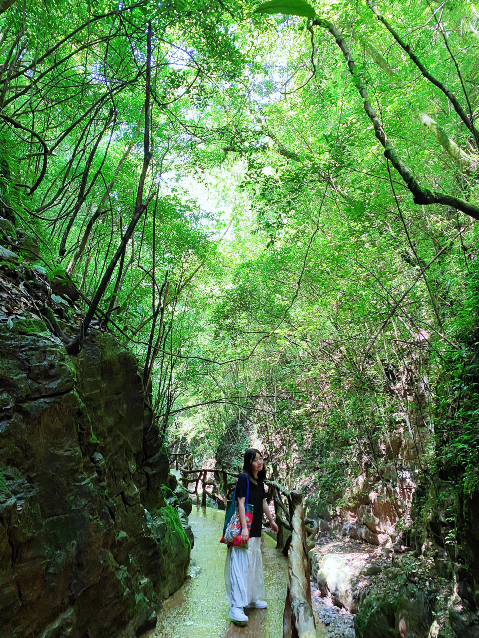 巴山綠肺硒旺萬源# 四川 巴山大峽谷一個新景點,人超少,但是景超美