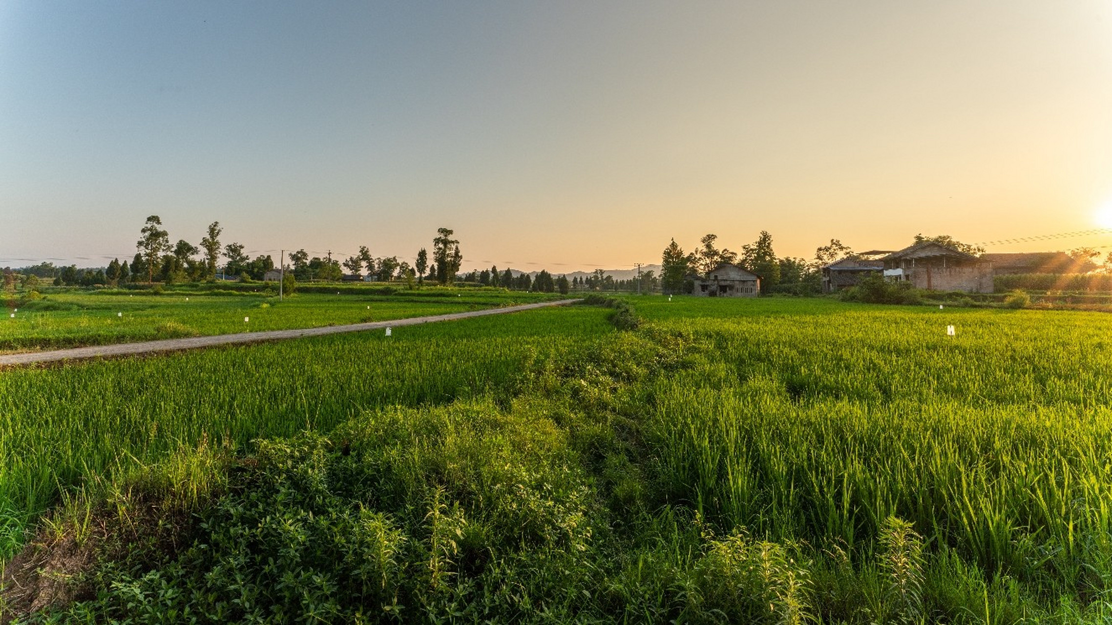 巴山绿肺硒旺万源# #城坝村地址:四川省达州市渠县城坝村 你认真拍过
