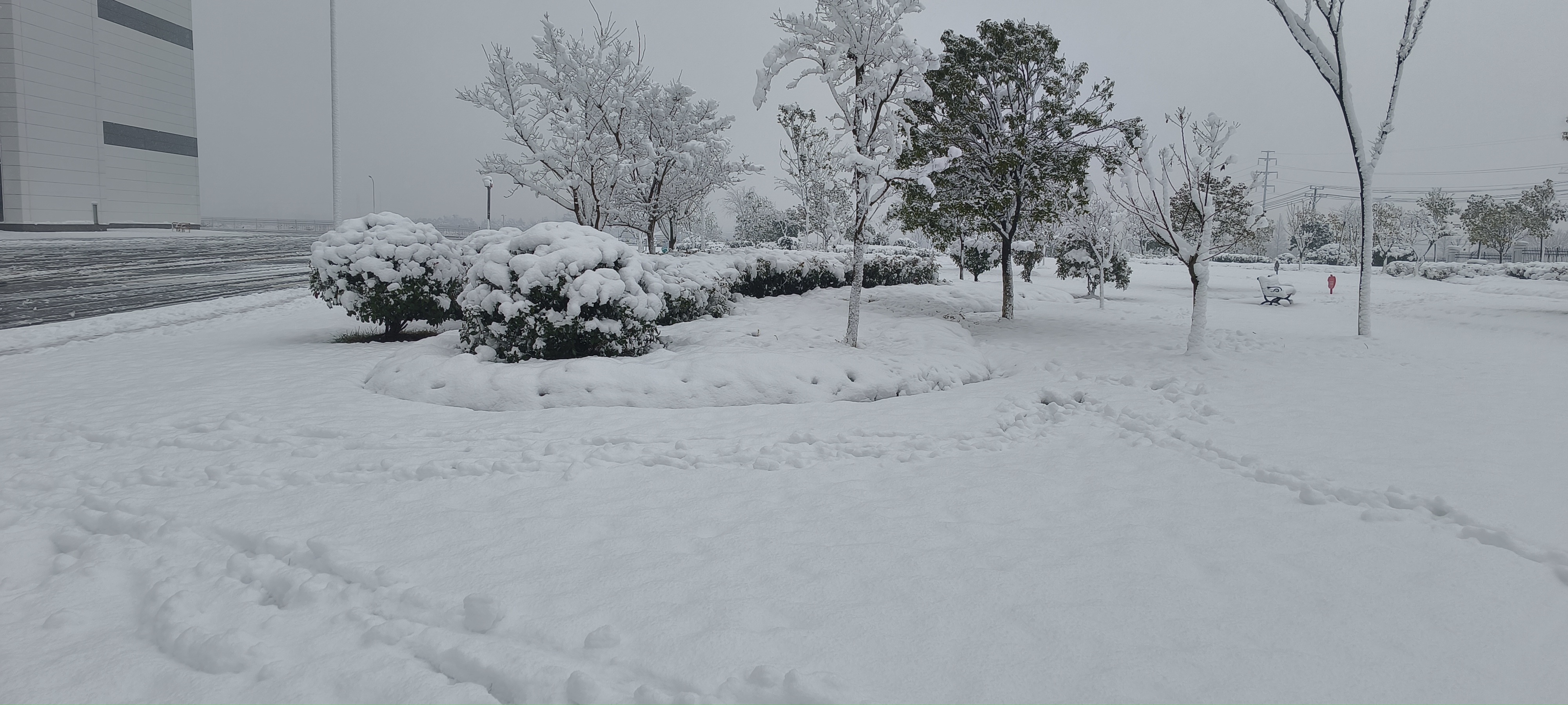 义乌上溪大草坪下雪图片