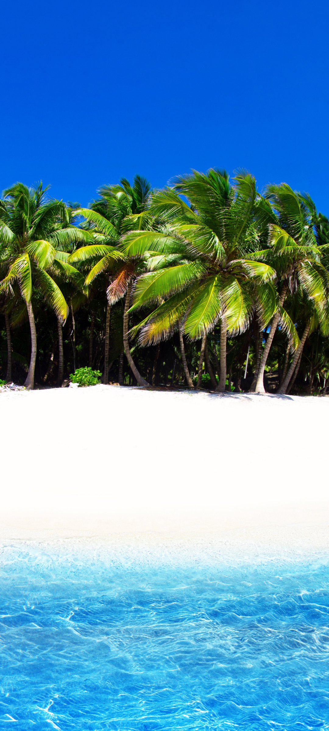 自然风光优美风景合集无水印手机桌面高清壁纸图片大全合集